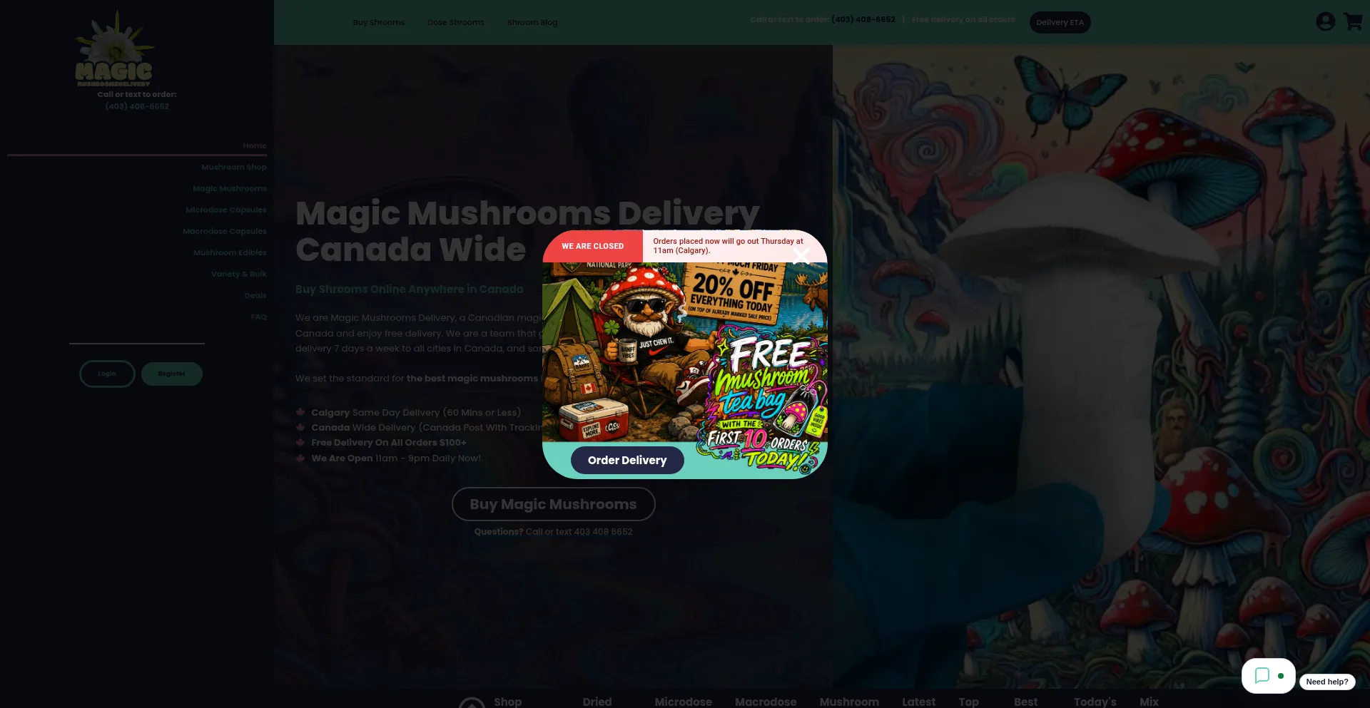 Magicmushroomsdelivery.co