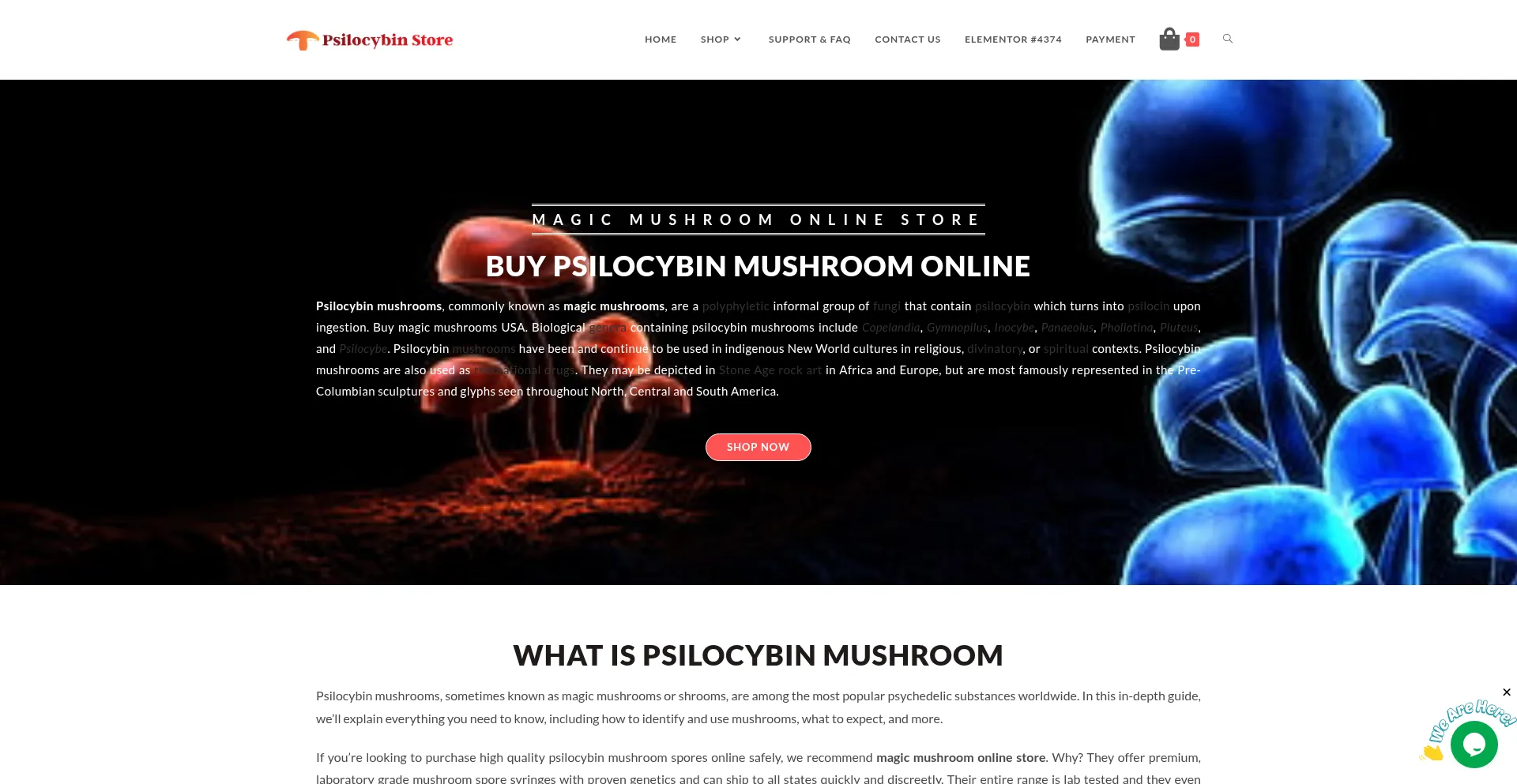 Website screenshot of Magicmushroomsonlinestore.com