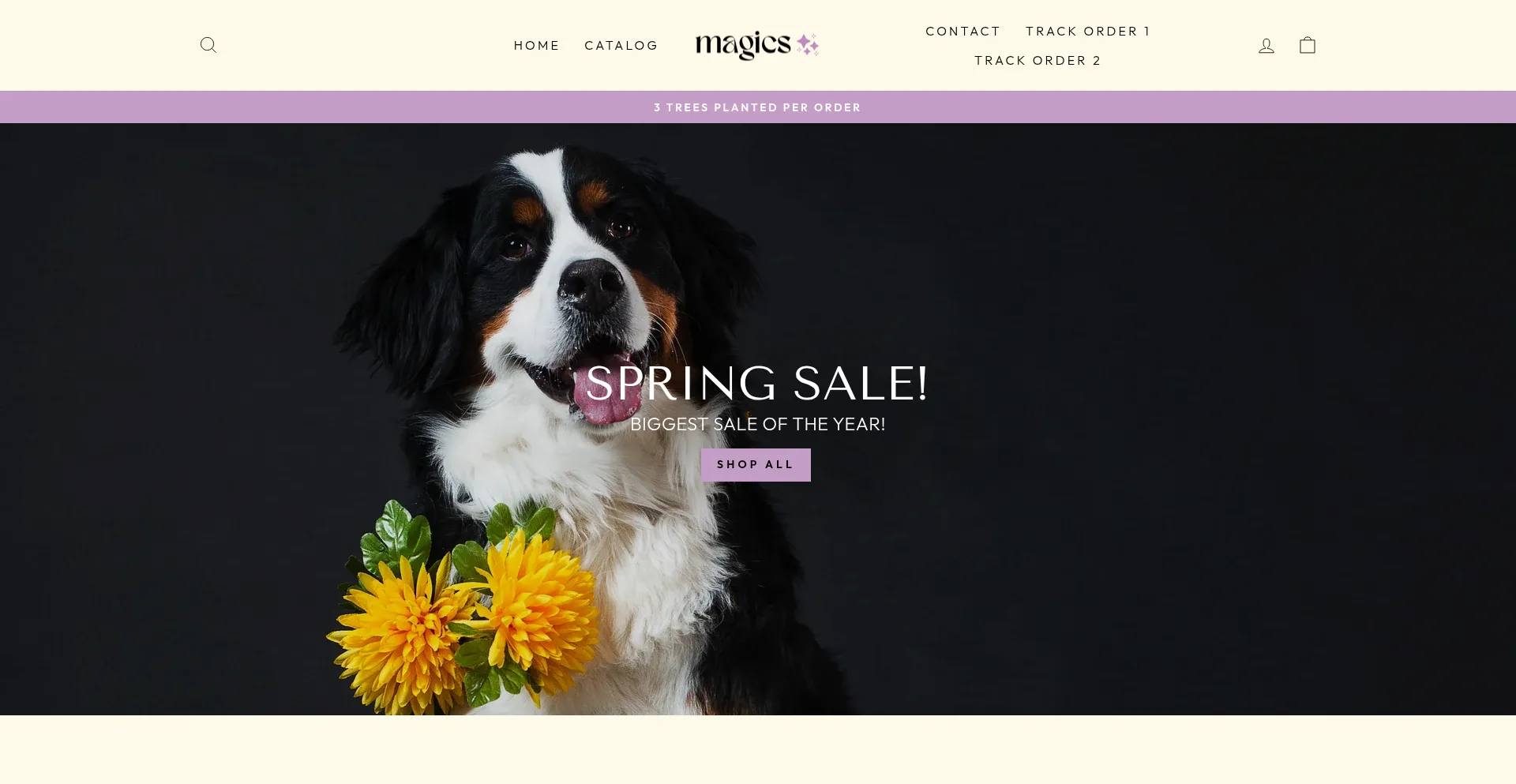 Magicswear.com