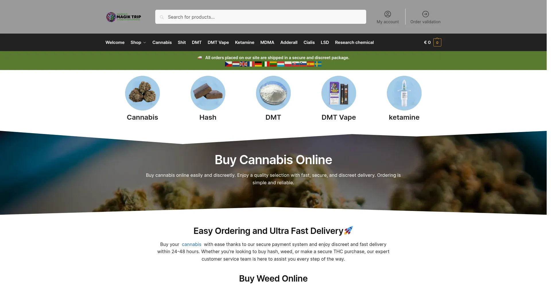 Website screenshot of Magiktrip.fr