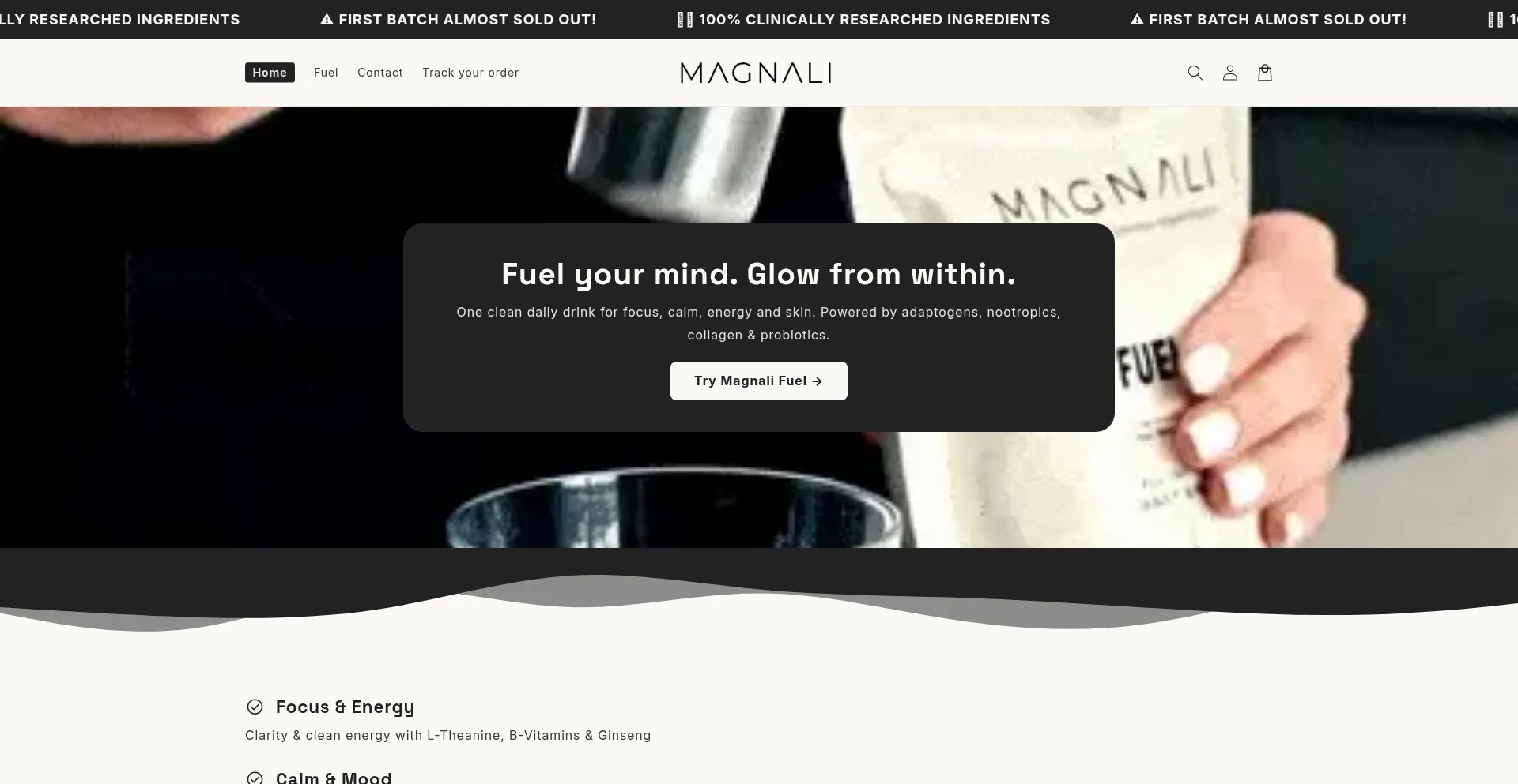 Website screenshot of Magnali.com