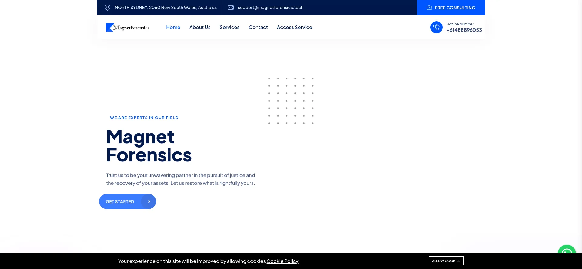Website screenshot of Magnetforensics.tech