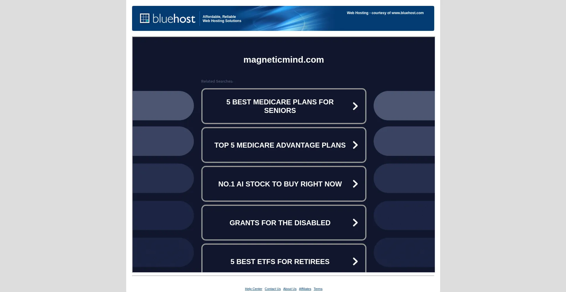 Website screenshot of Magneticmind.com