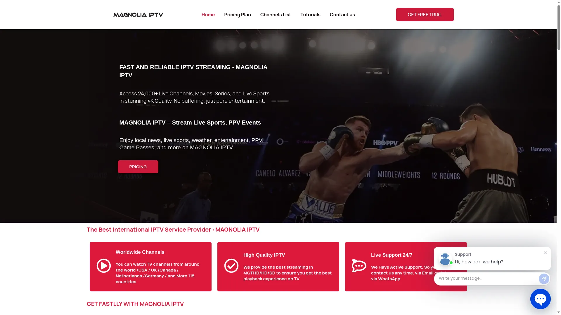 Magnolia-iptv.com
