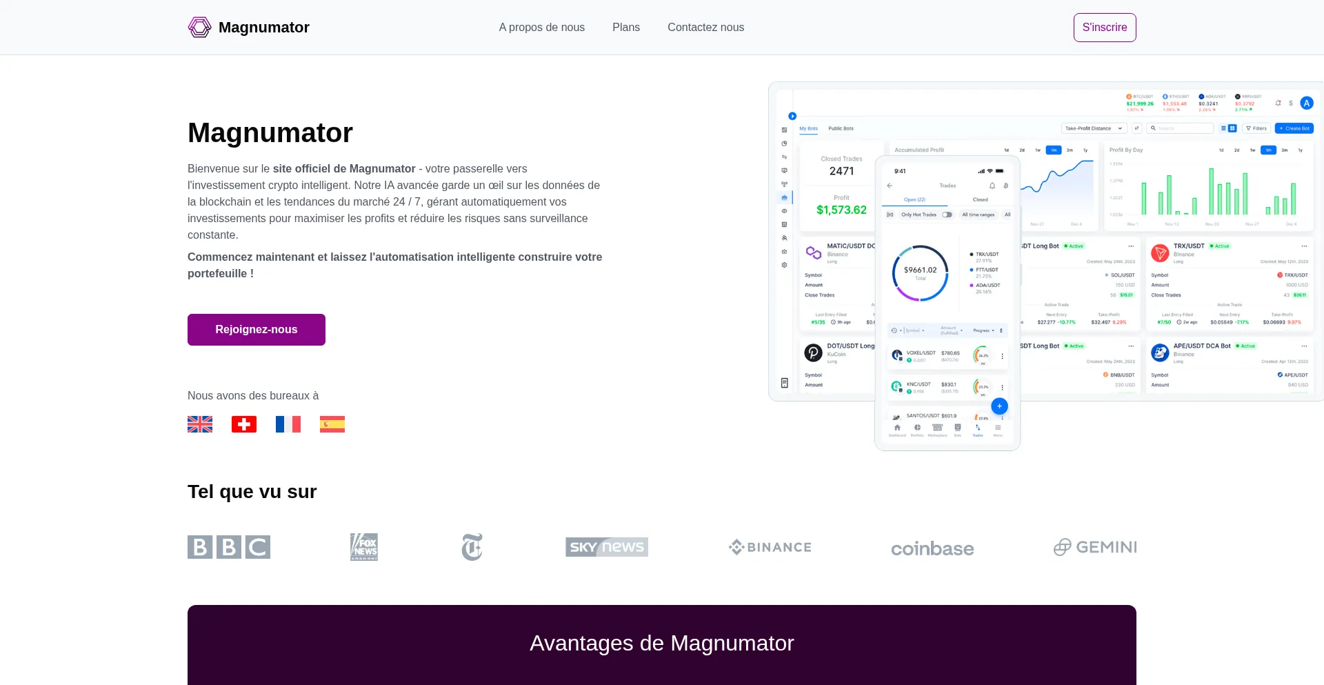 Website screenshot of Magnumatorofficiel.fr