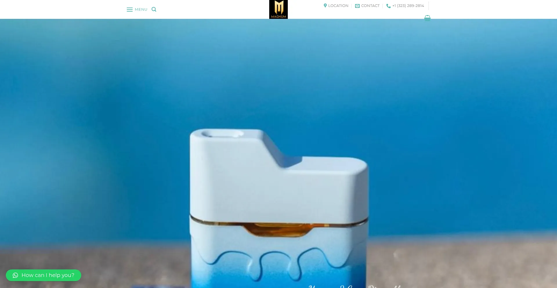 Website screenshot of Magnumdisposable.com