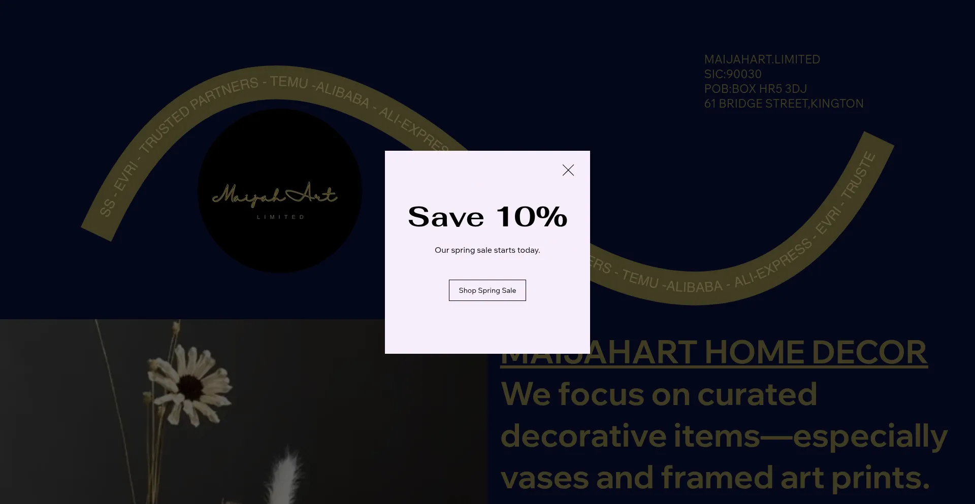 Website screenshot of Maijahart.com