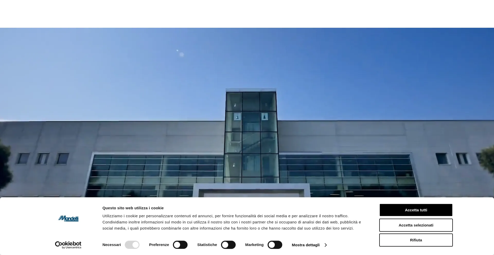 Website screenshot of Mandelli.net