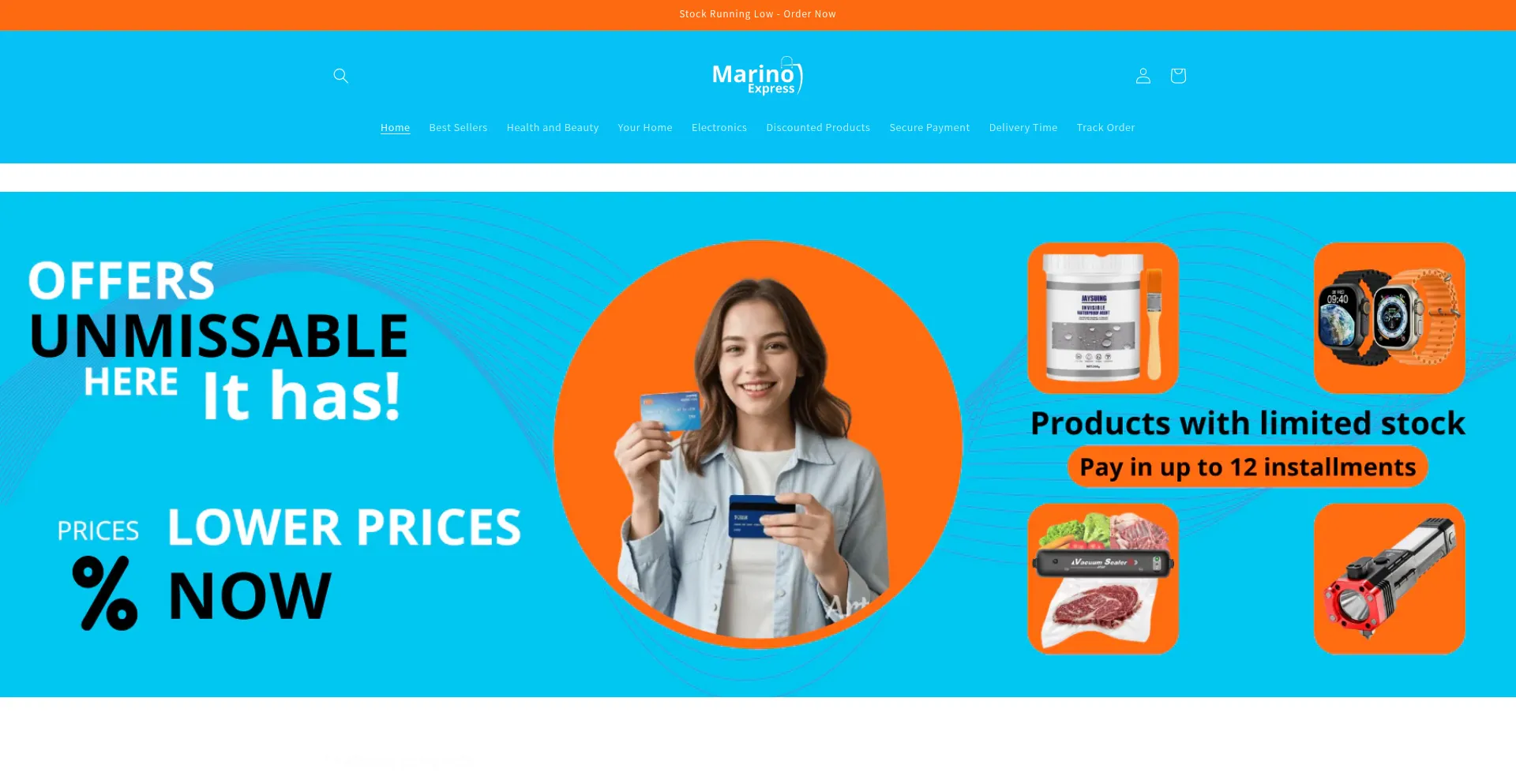 Website screenshot of Marinoexpress.com