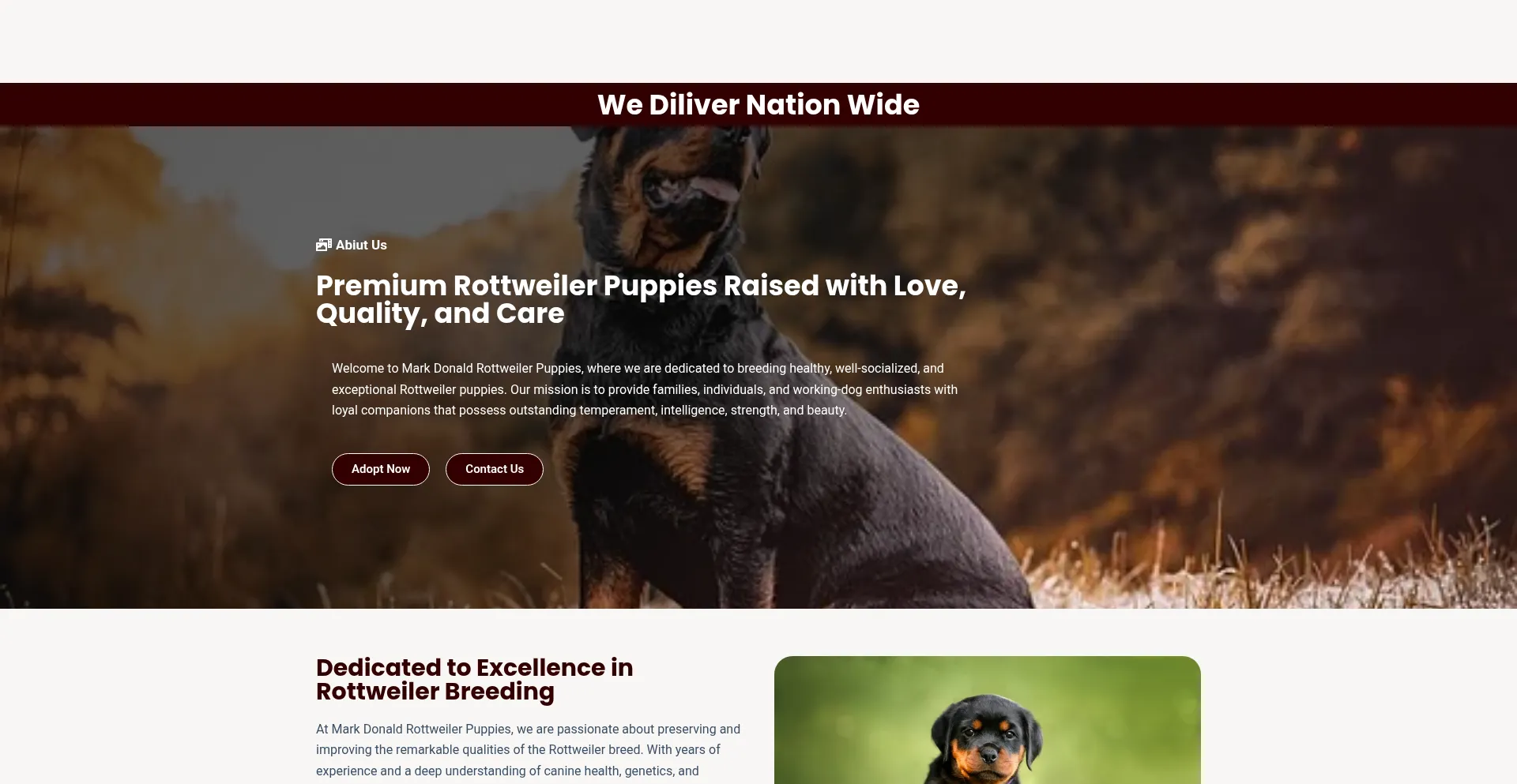Markdonaldrottweilerpuppies.org