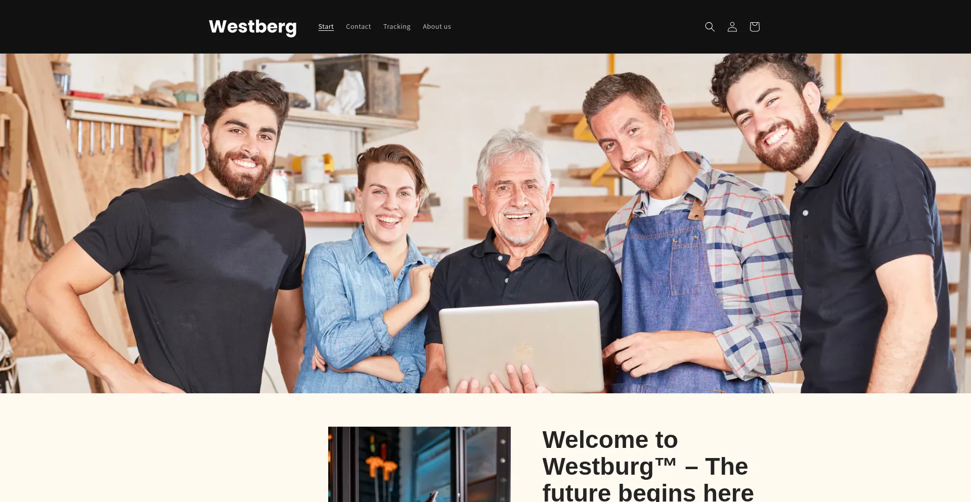 Website screenshot of Martin-westberg.com