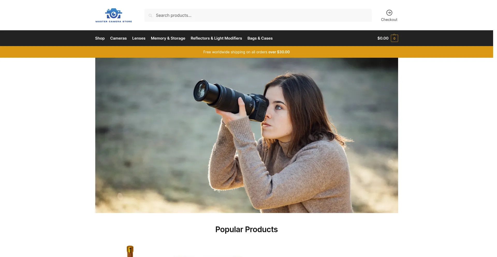 Website screenshot of Mastercamerastore.com