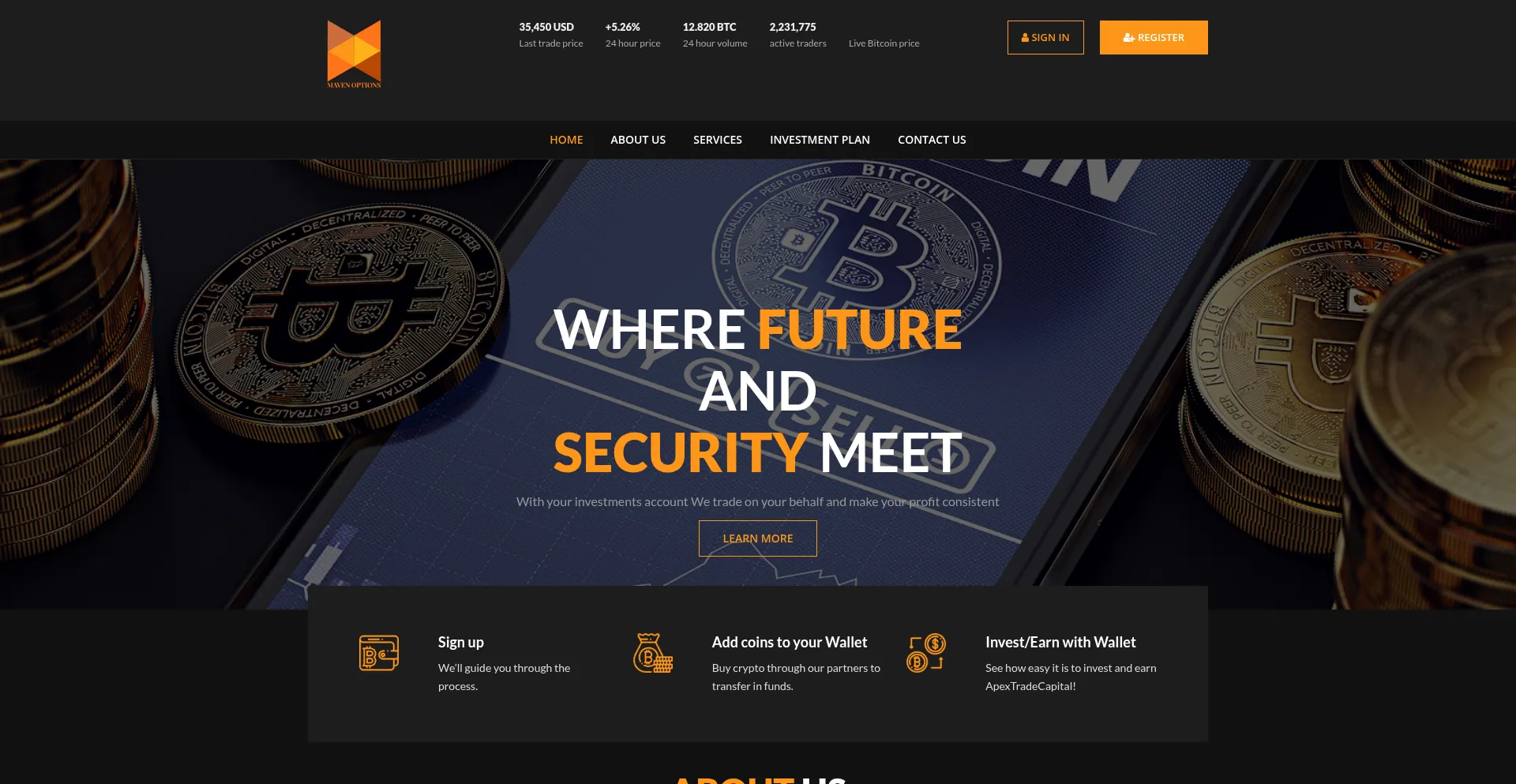 Website screenshot of Mavenoptions.com