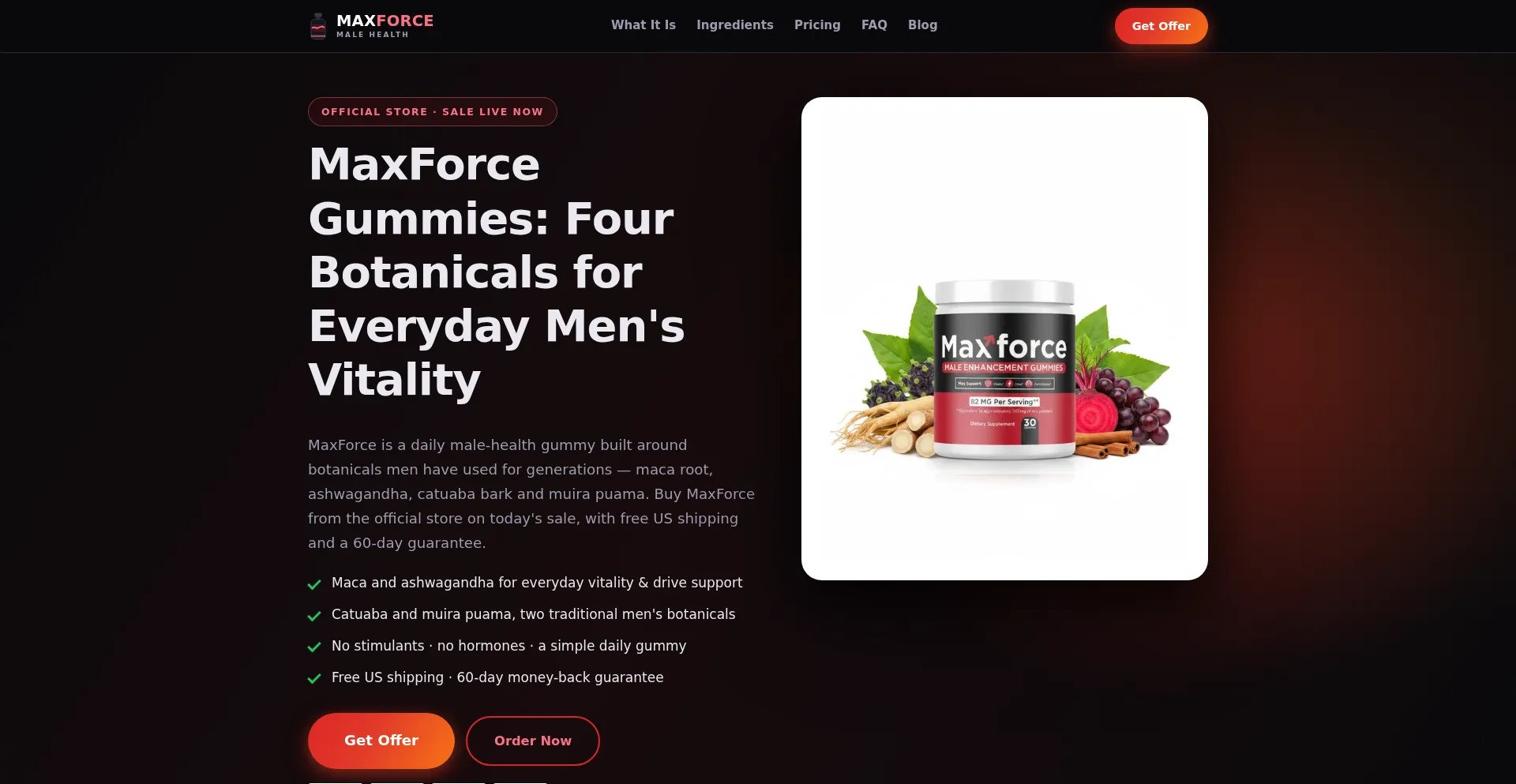 Maxforcees.com