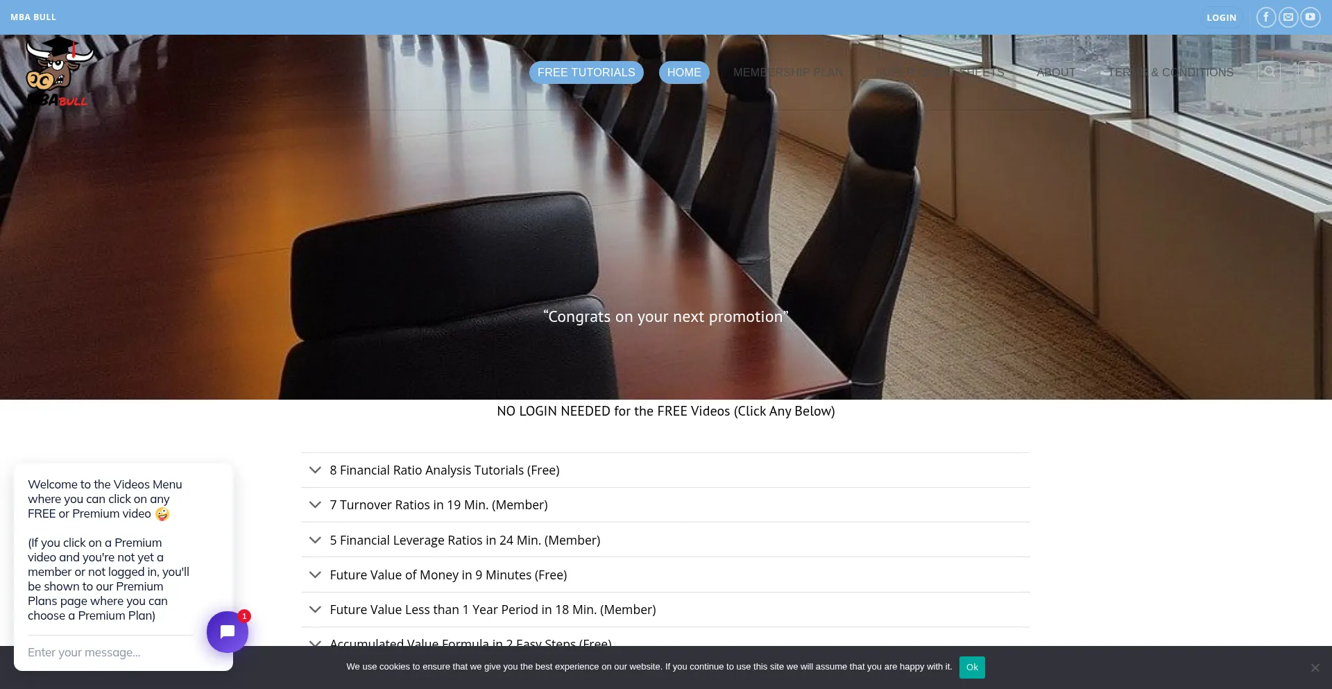 Website screenshot of Mbabull.com