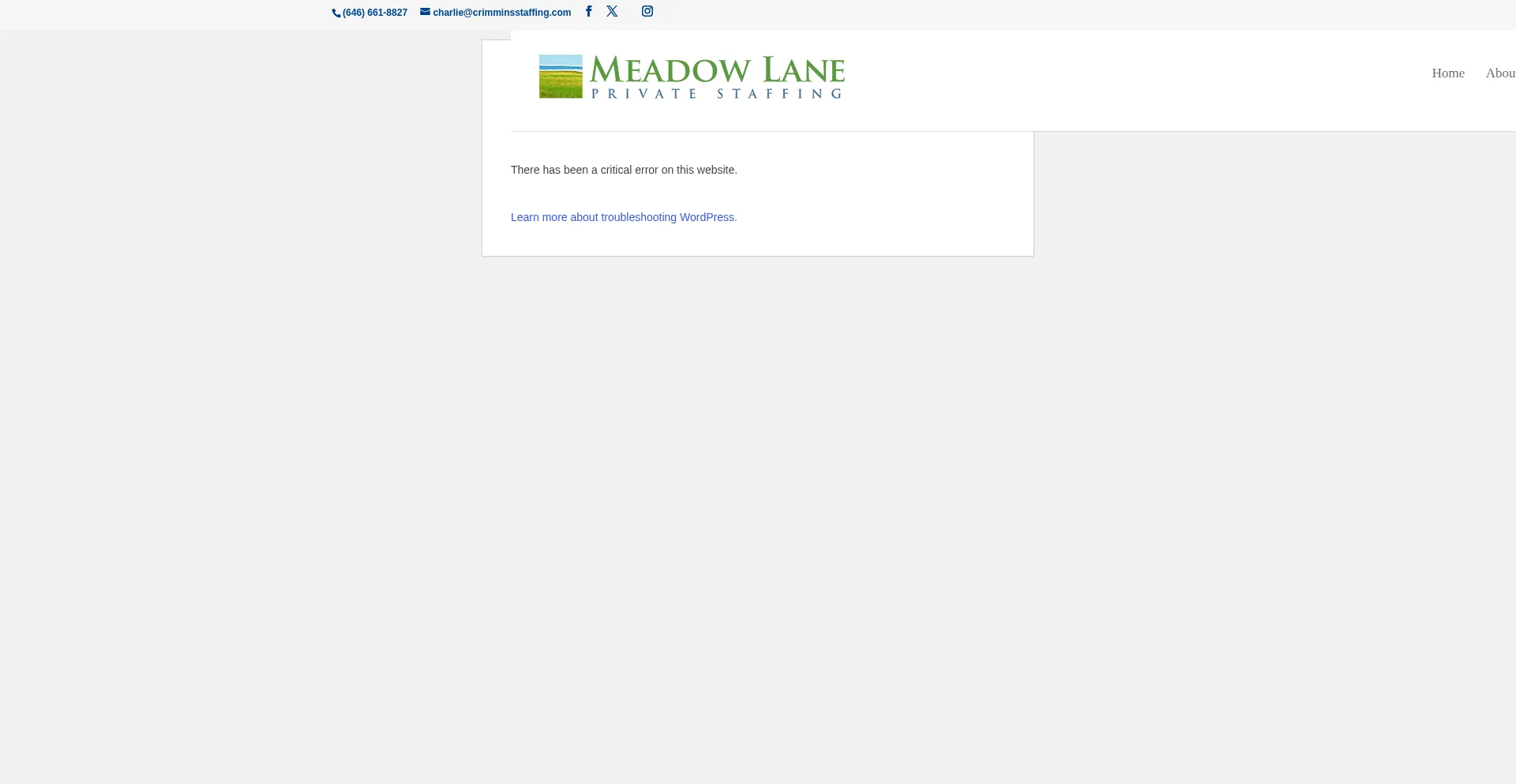 Meadowlaneprivatestaffing.com