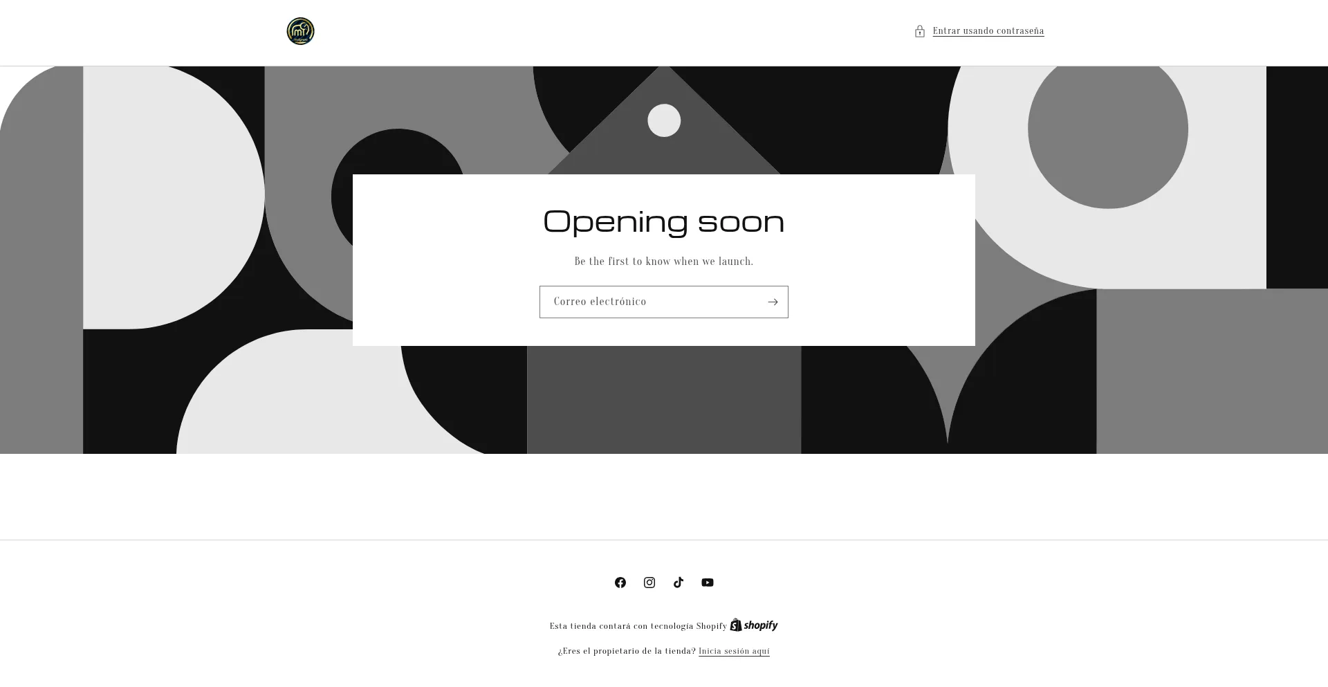 Website screenshot of Medgrant.com.mx