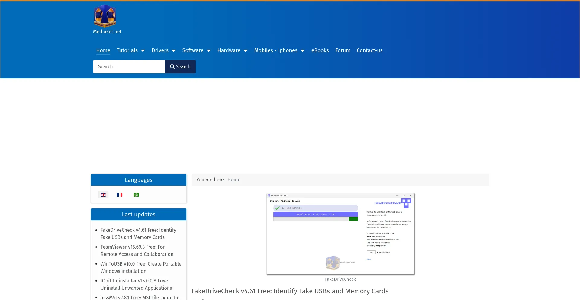 Website screenshot of Mediaket.net
