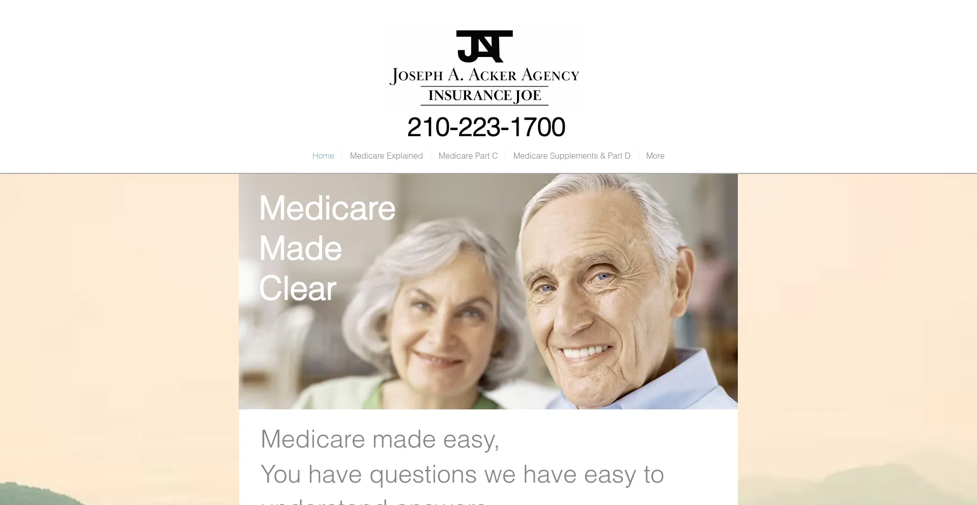 Website screenshot of Medicarejoe.com