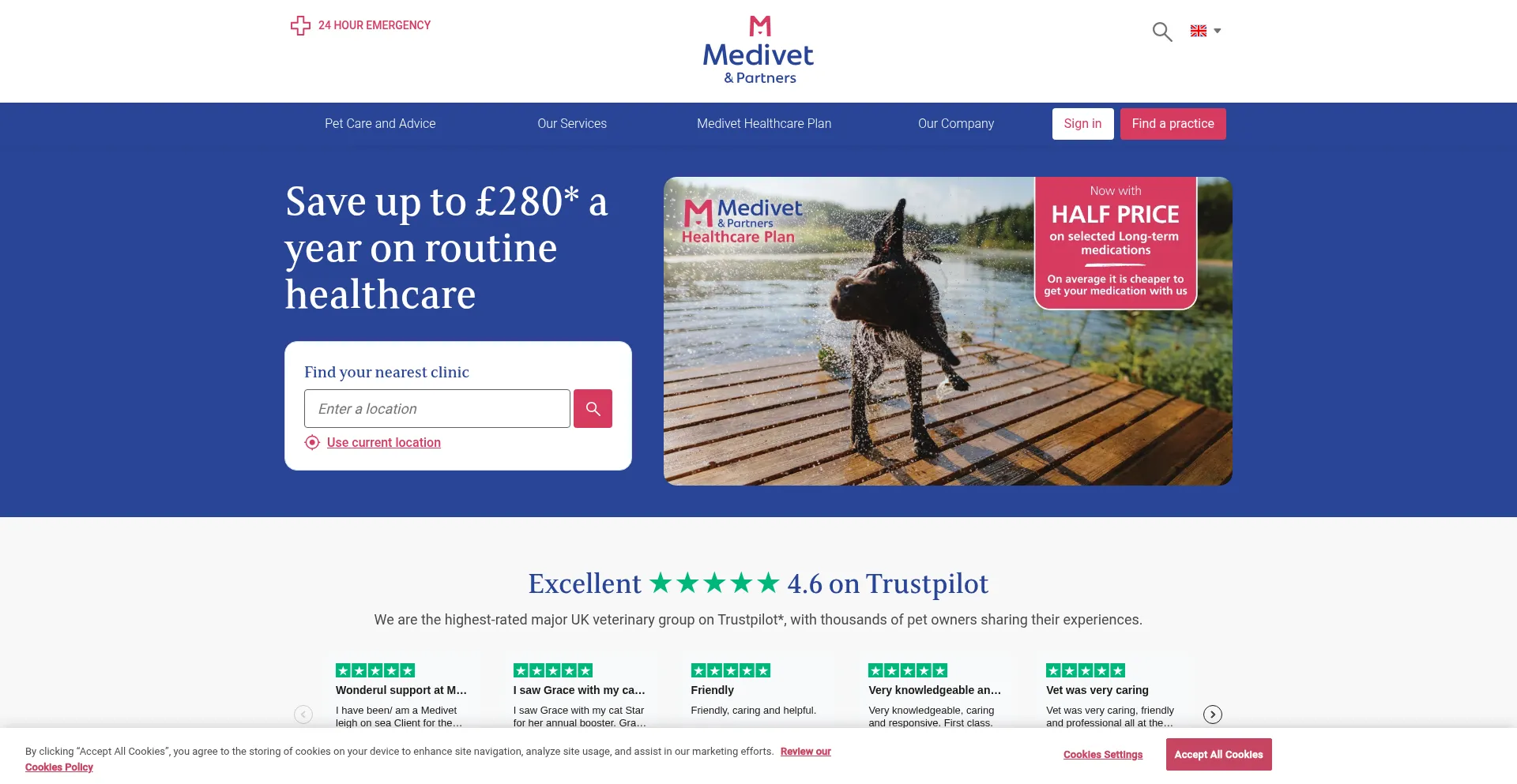 Medivetgroup.com
