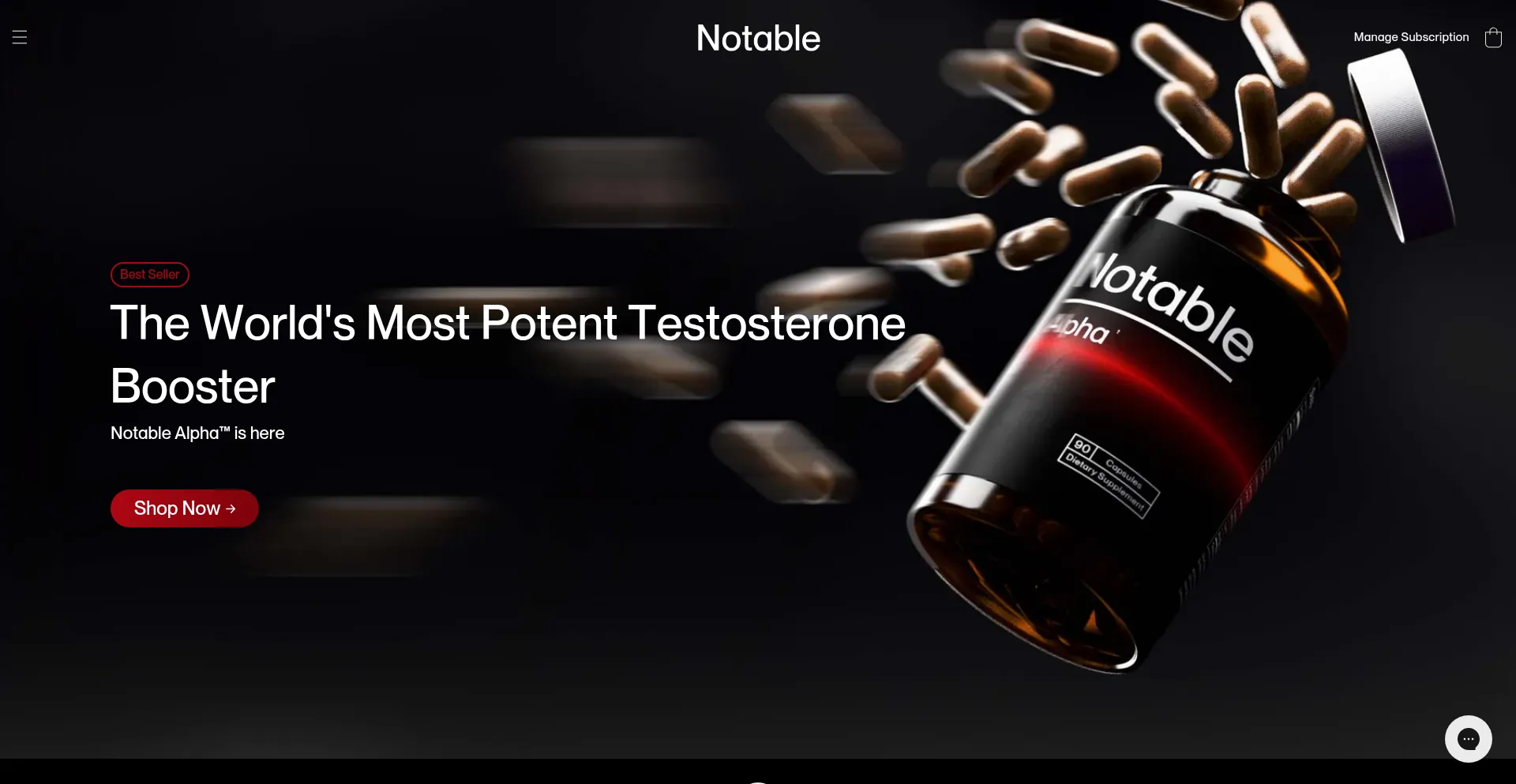 Website screenshot of Meetnotable.com