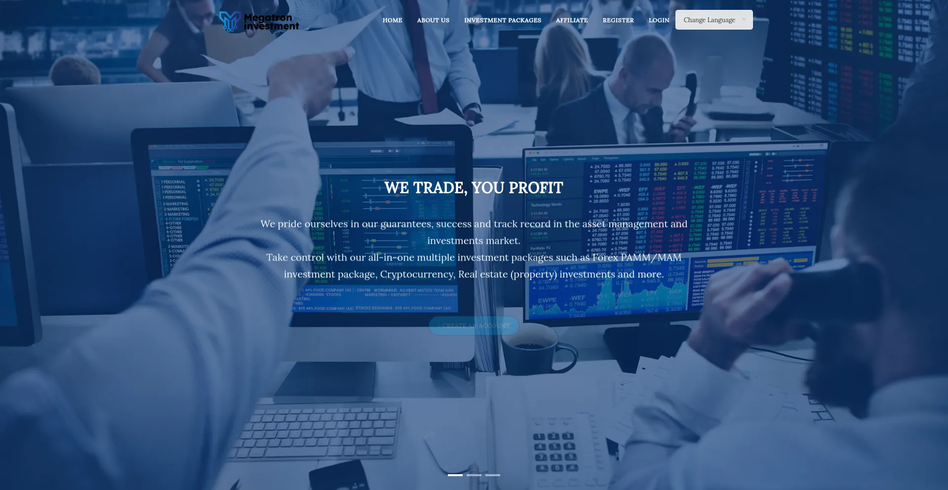 Megatroninvest.com