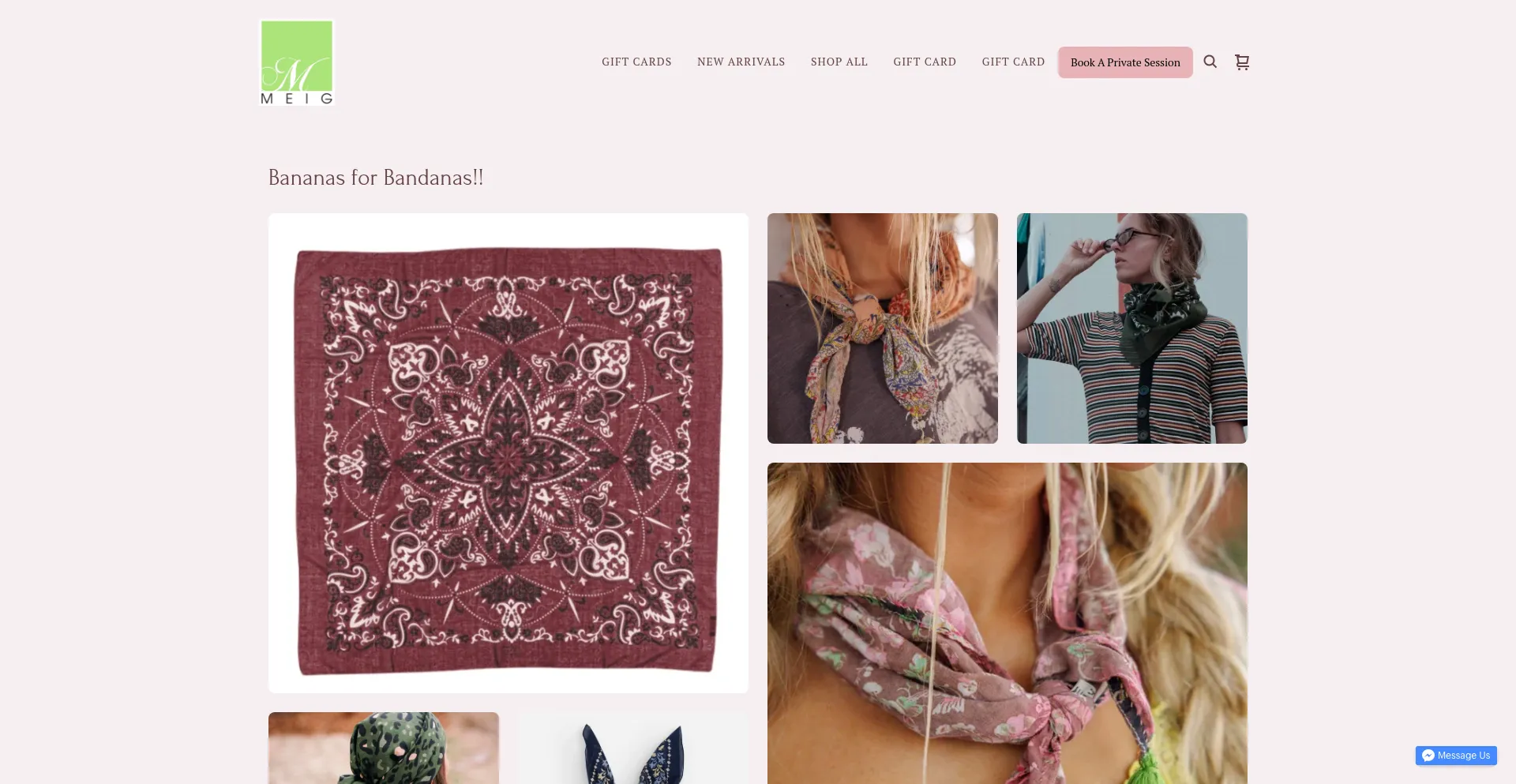 Website screenshot of Meigshop.com