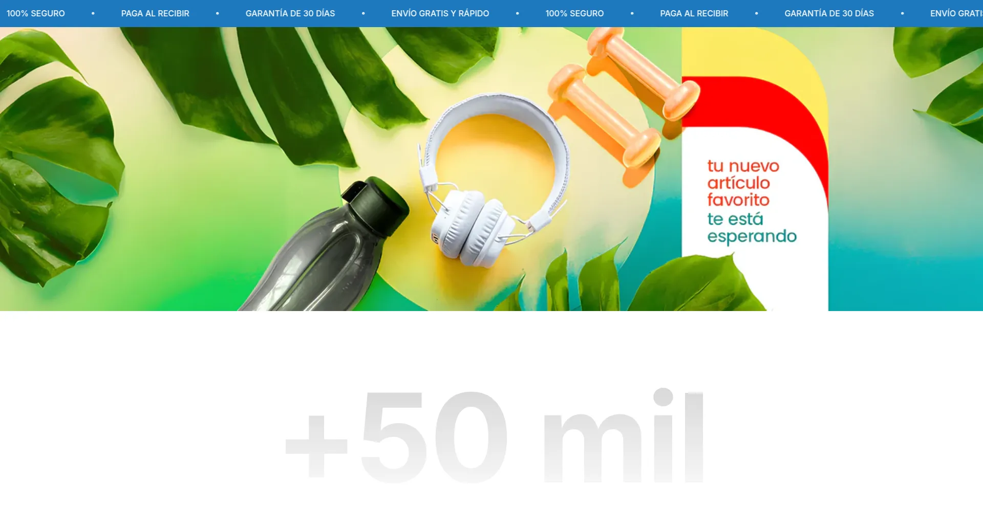 Website screenshot of Mejorentrega.com
