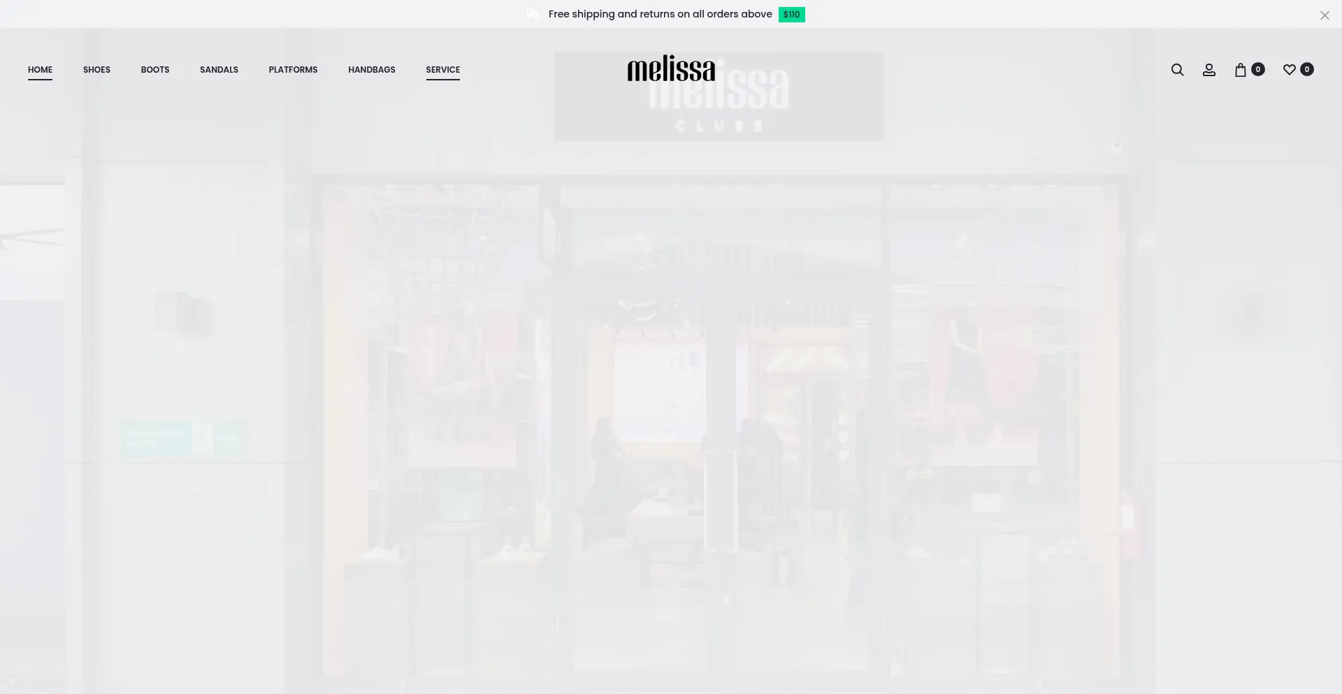Website screenshot of Melissaus.us