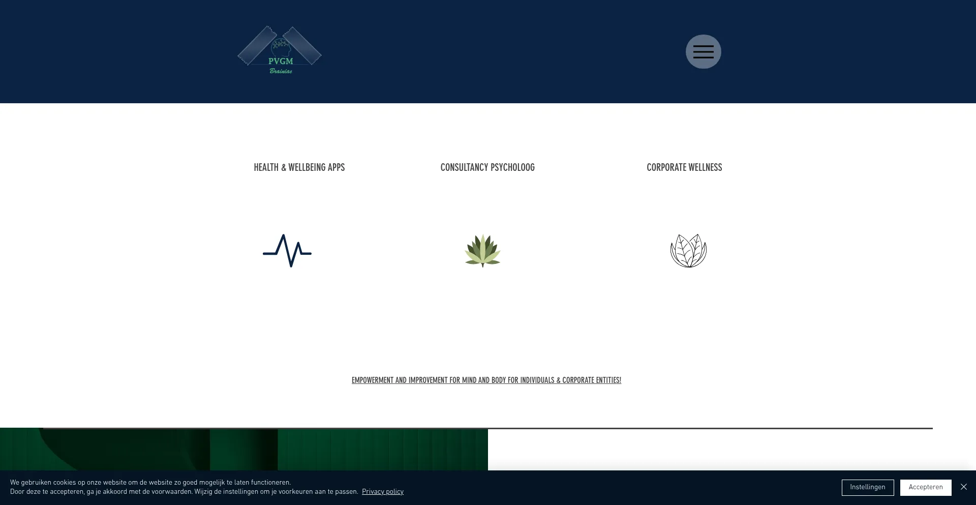 Website screenshot of Mentalhealthcheck.nl