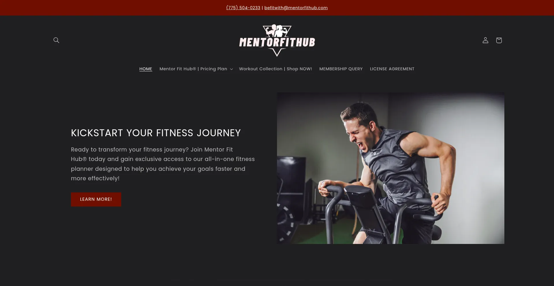 Mentorfithub.com