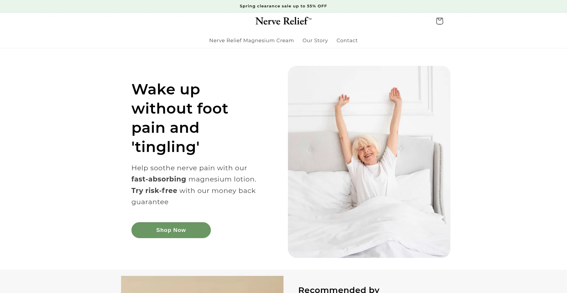 Website screenshot of Meritrelief.com