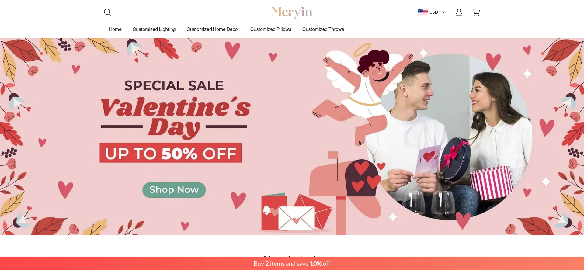 Website screenshot of Meryin.com