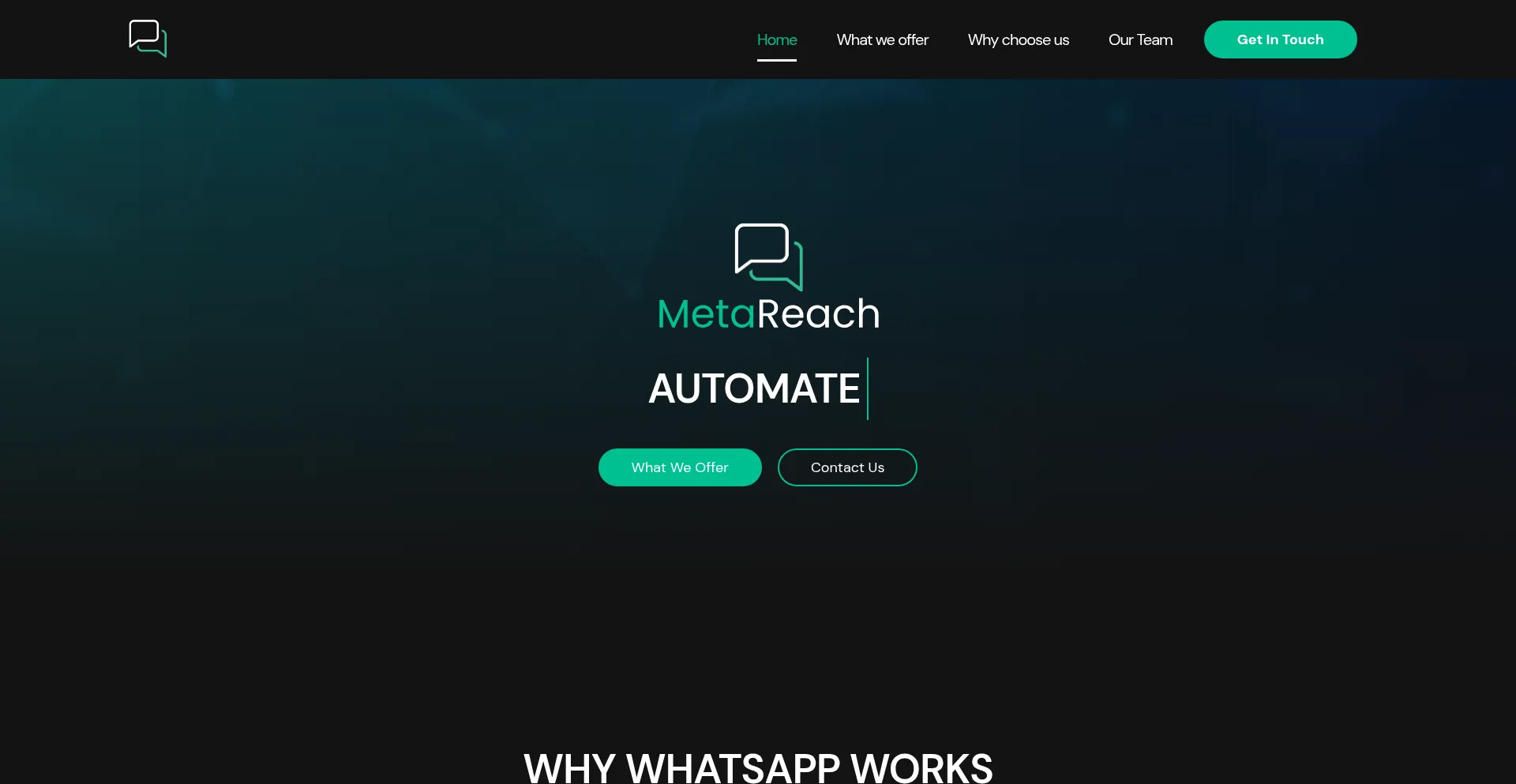 Website screenshot of Metareach.co.za