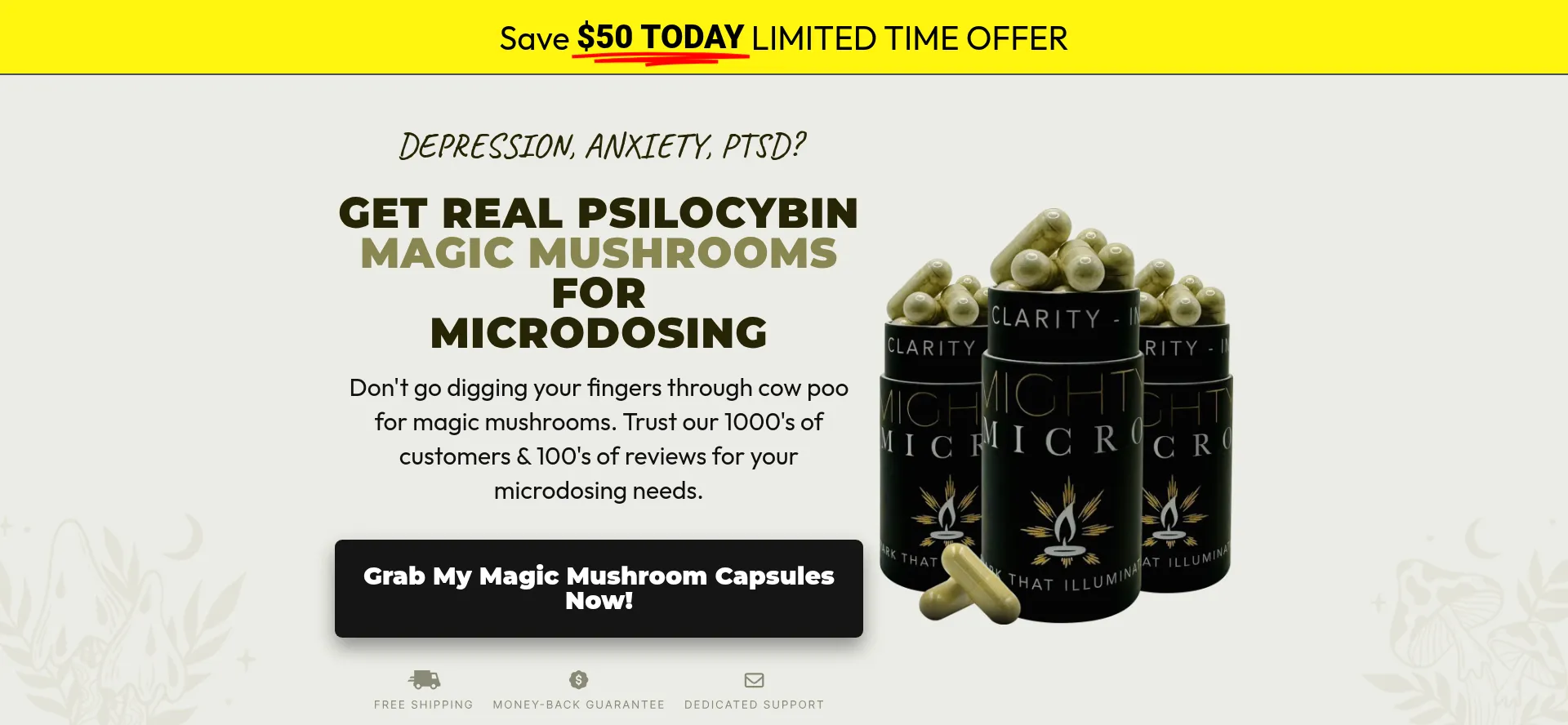 Website screenshot of Mightymicro.co