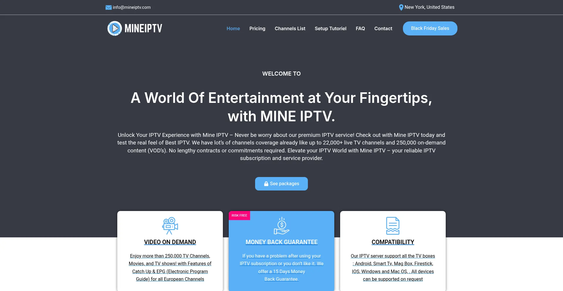 Website screenshot of Mineiptv.com