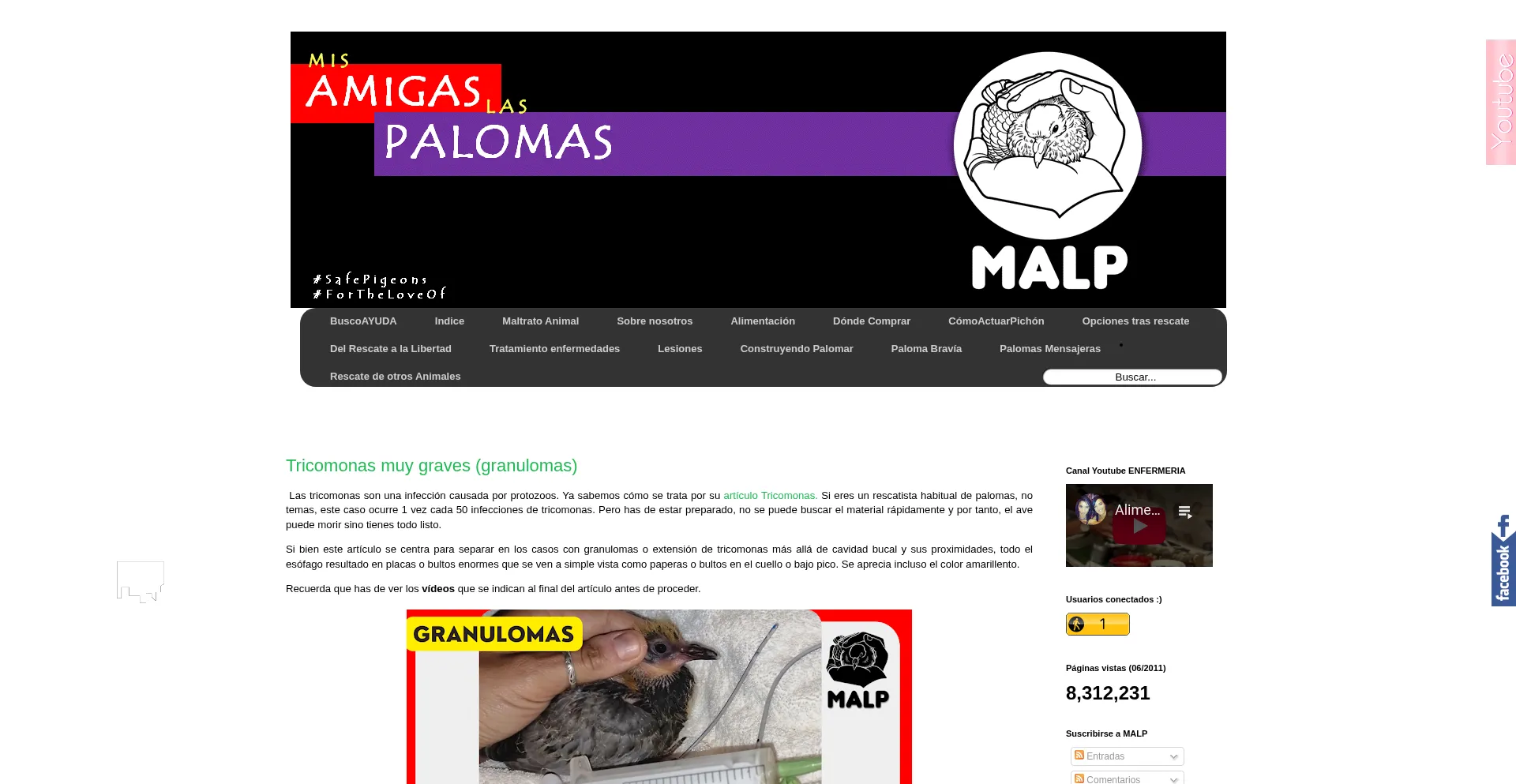 Website screenshot of Misamigaslaspalomas.com