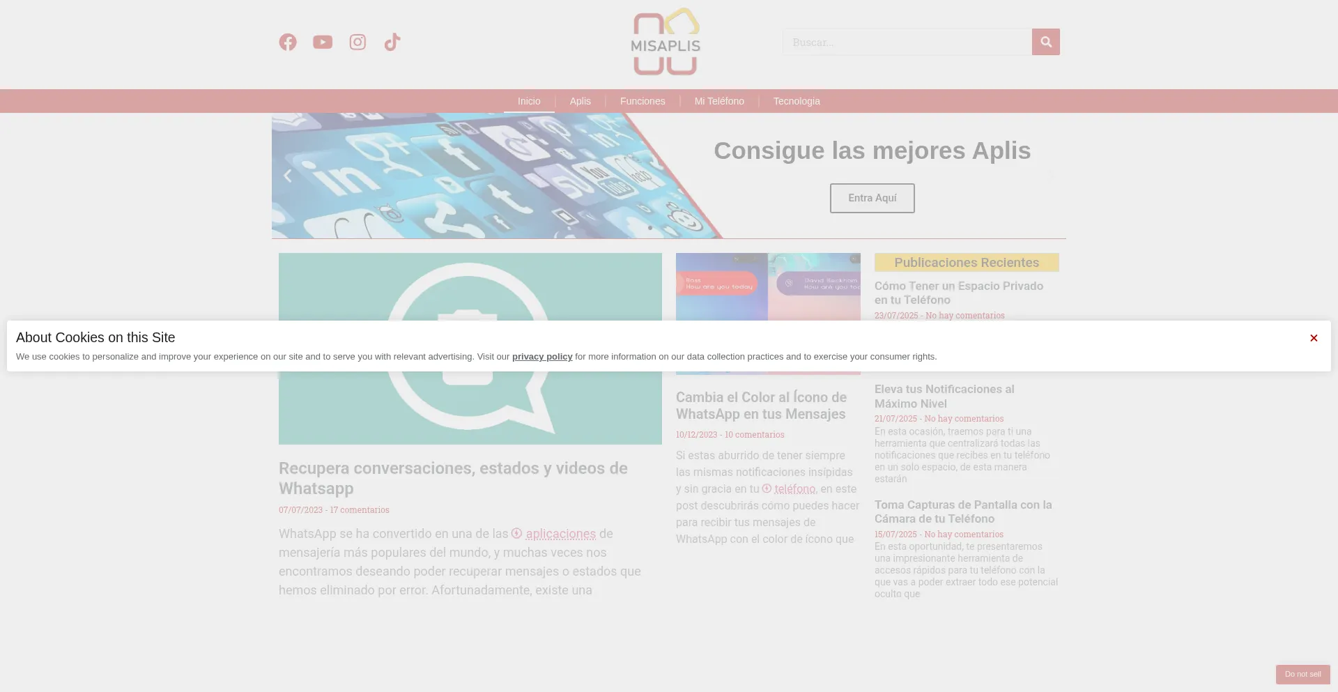Website screenshot of Misaplis.com