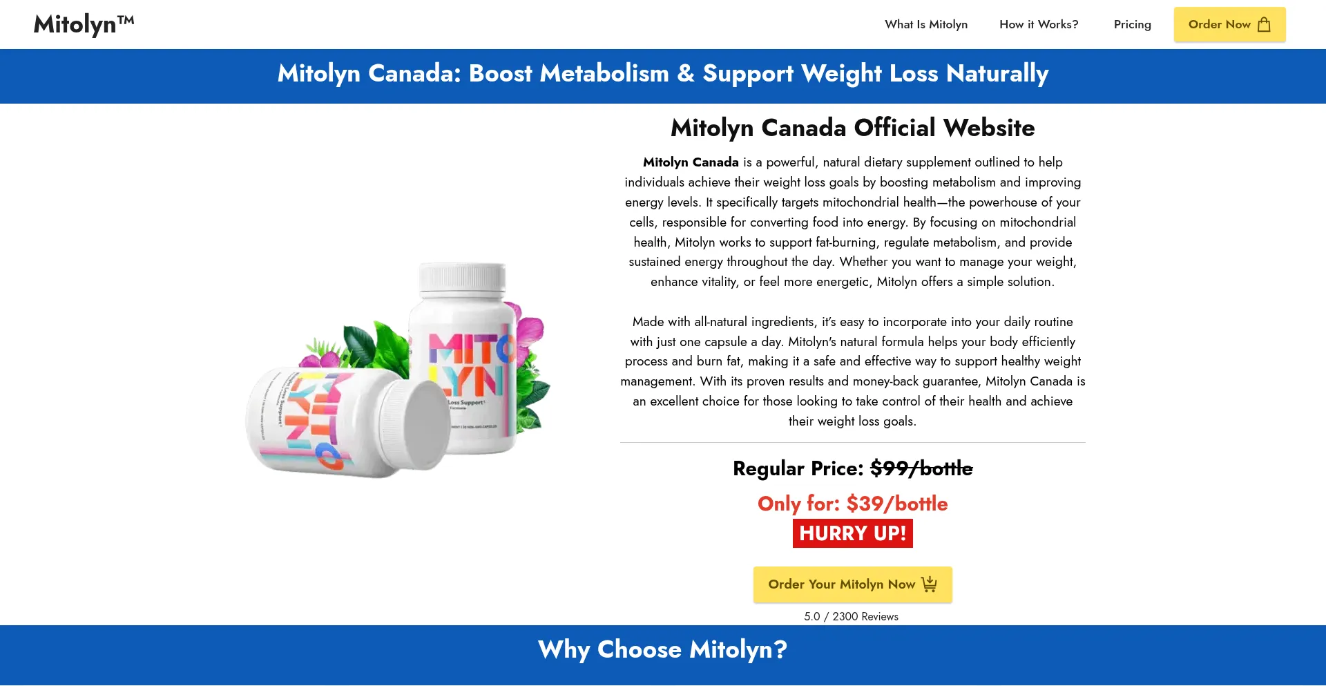 Website screenshot of Mit-mitolyn.ca