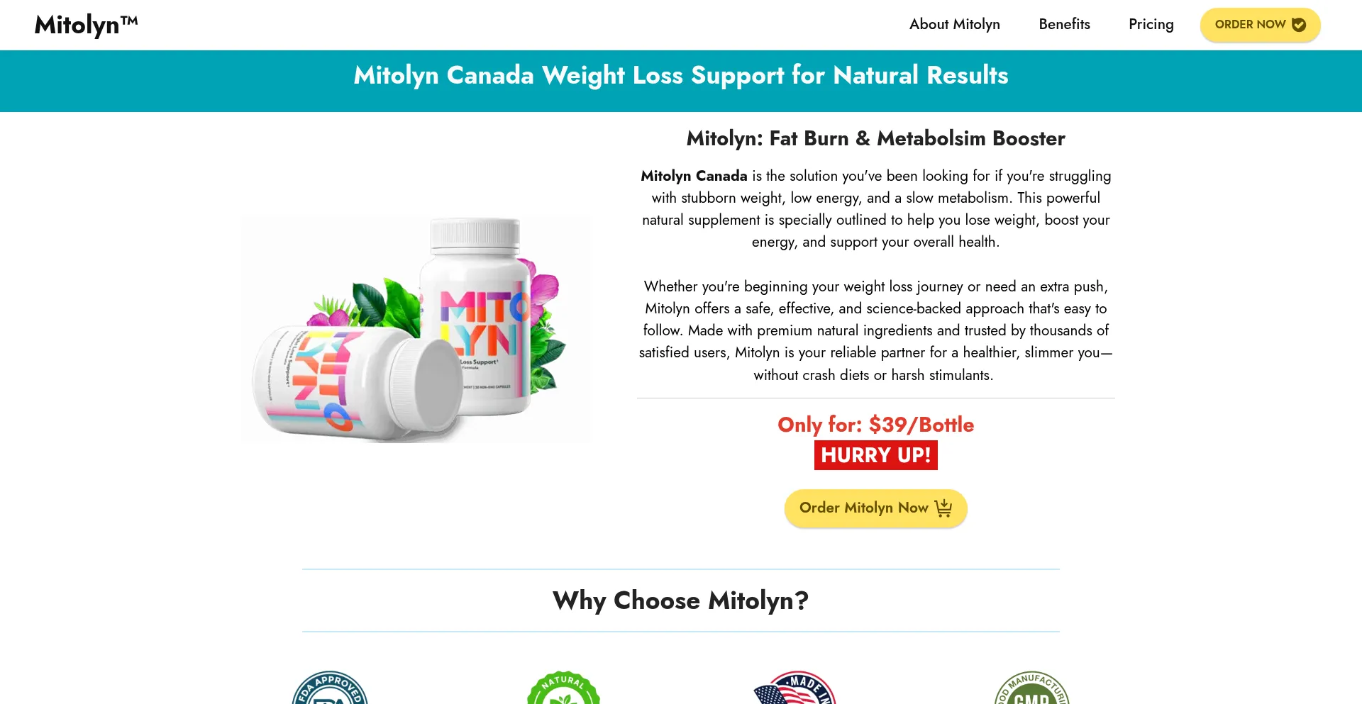 Website screenshot of Mitolyns.ca