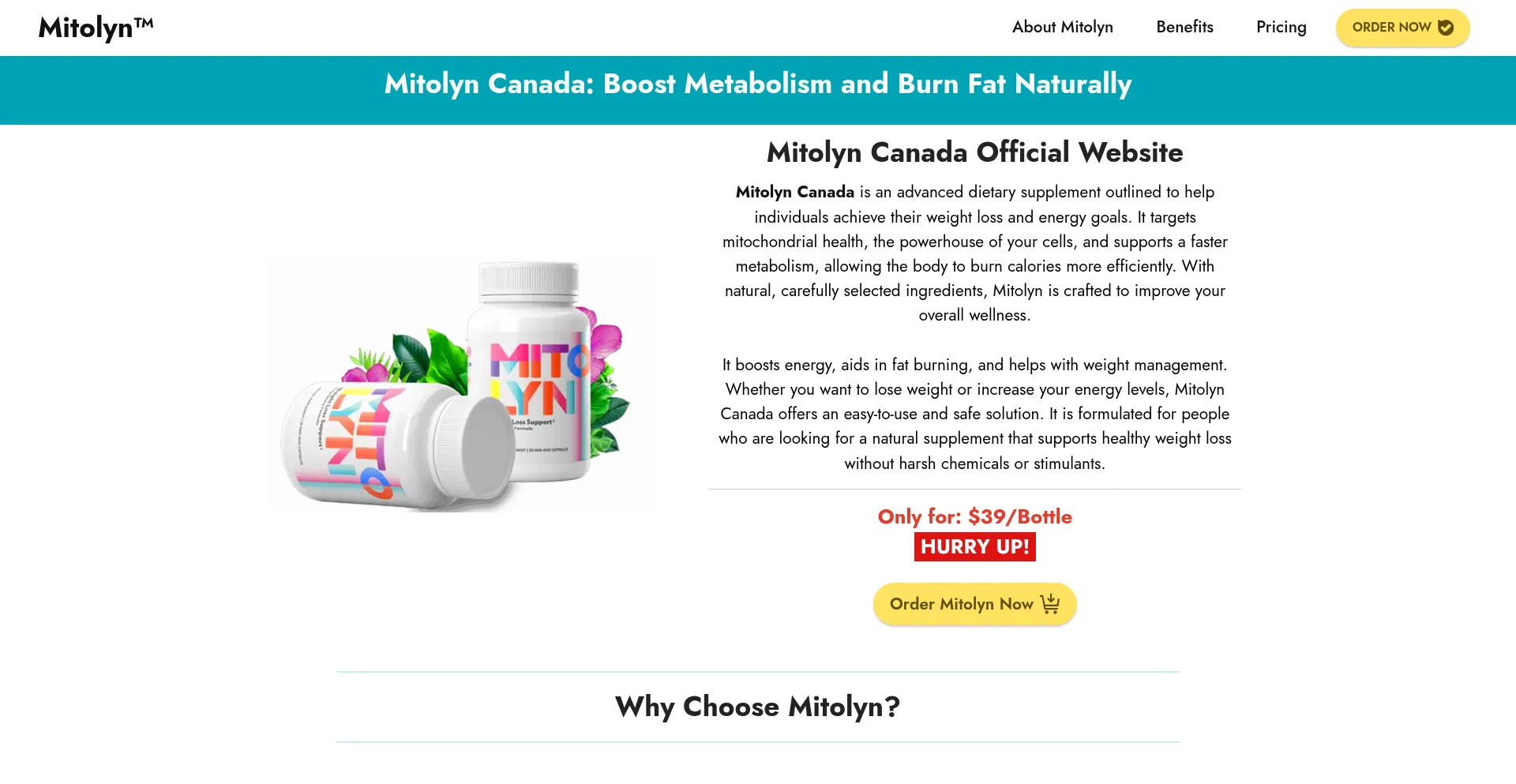 Website screenshot of Mitoyn.ca