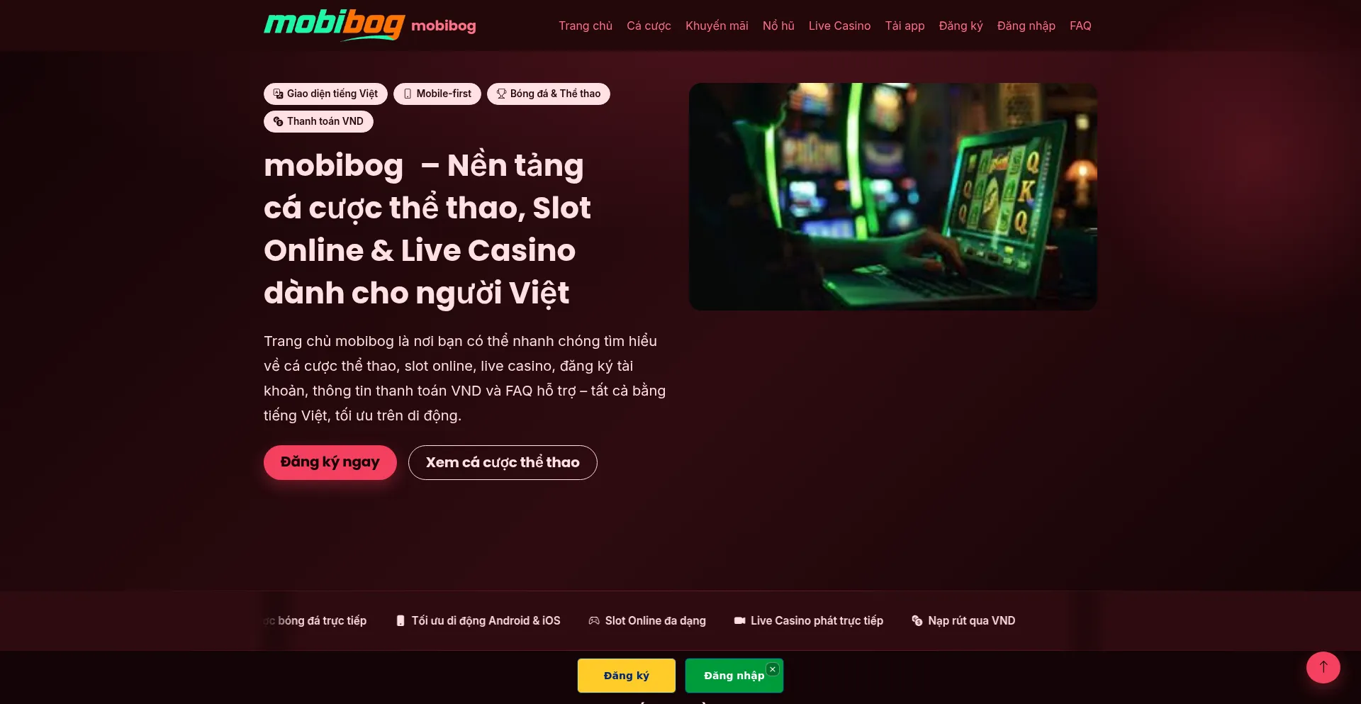 Mobibog.org