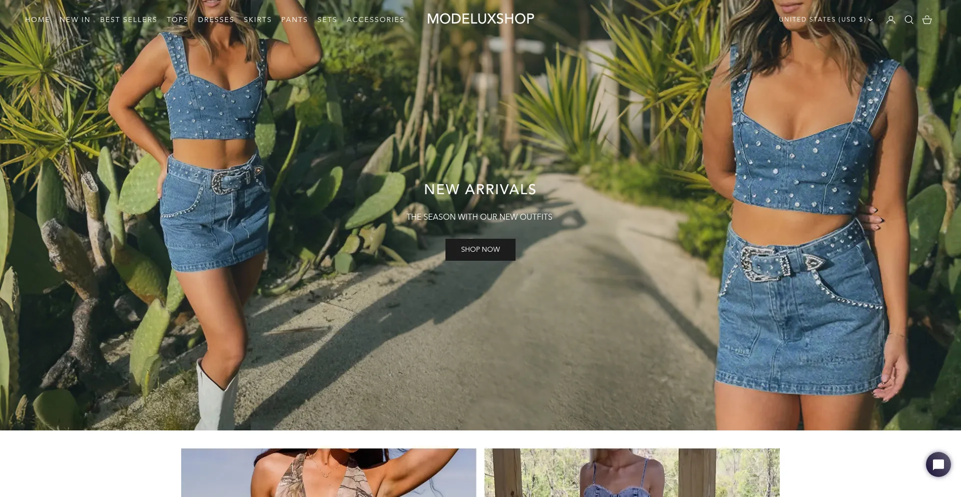 Website screenshot of Modeluxshop.com