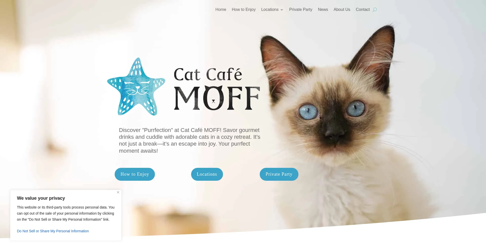 Moff-usa.com