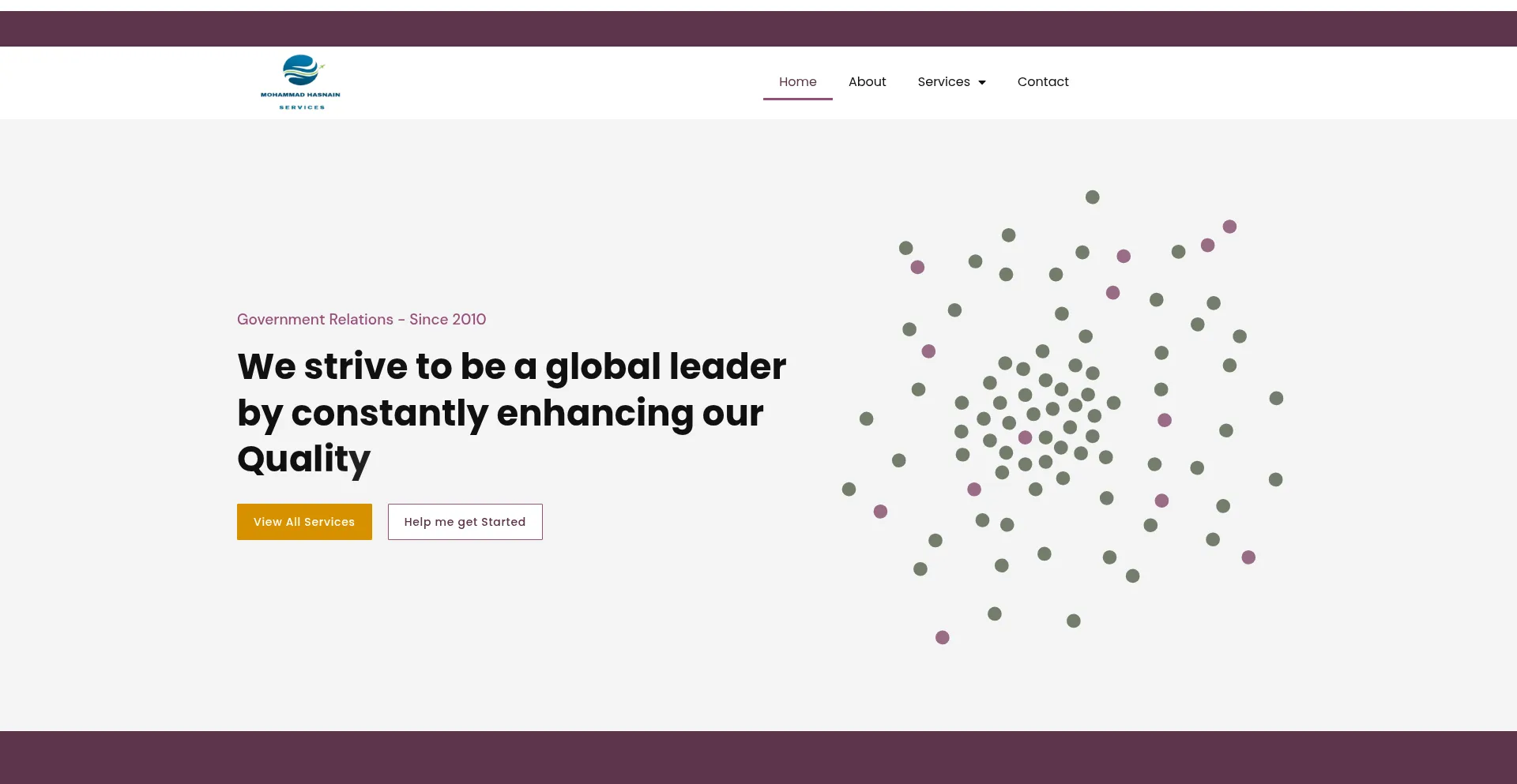 Website screenshot of Mohammad-hasnain.com