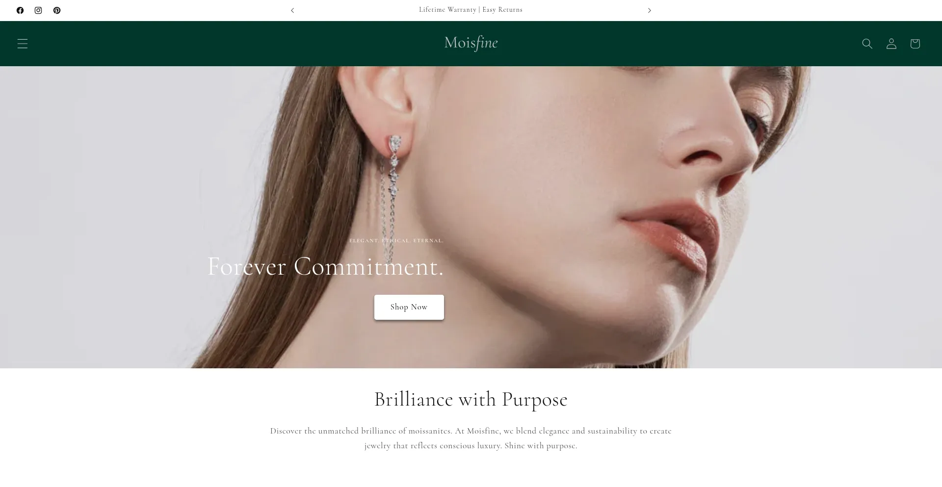 Website screenshot of Moisfine.com