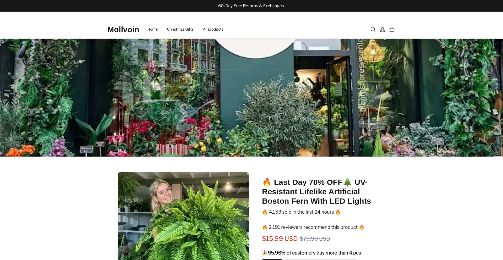 Mollvoin.com