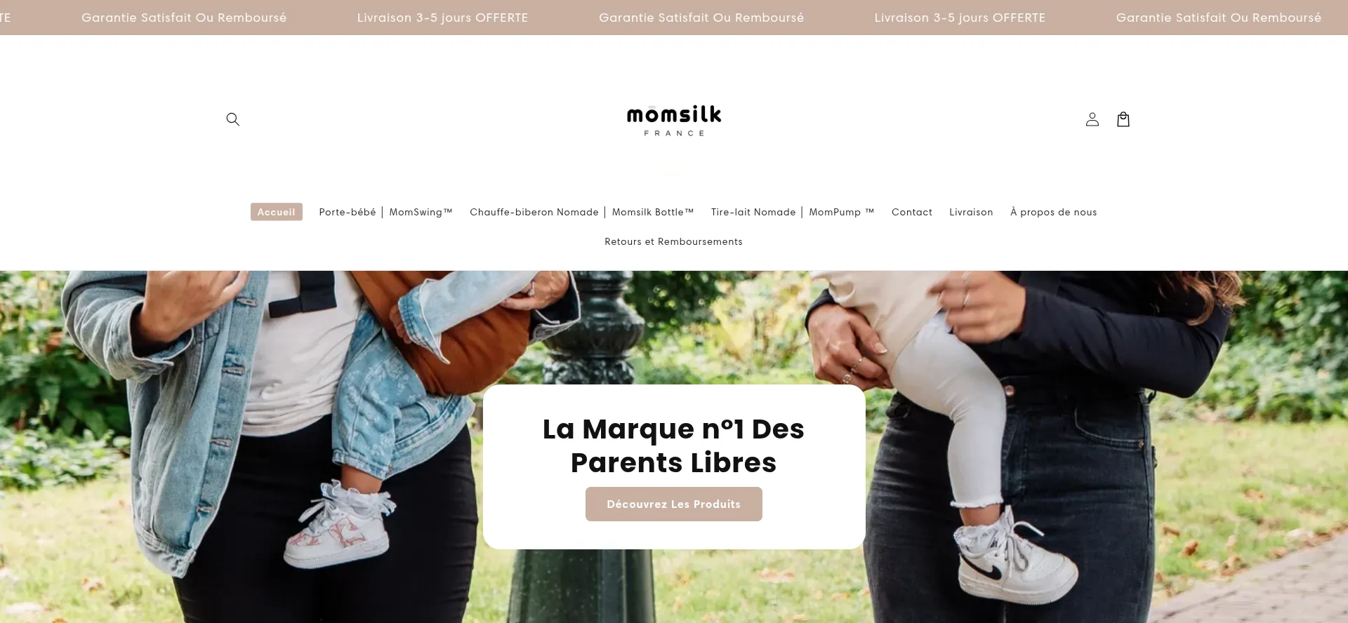 Website screenshot of Momsilk.com
