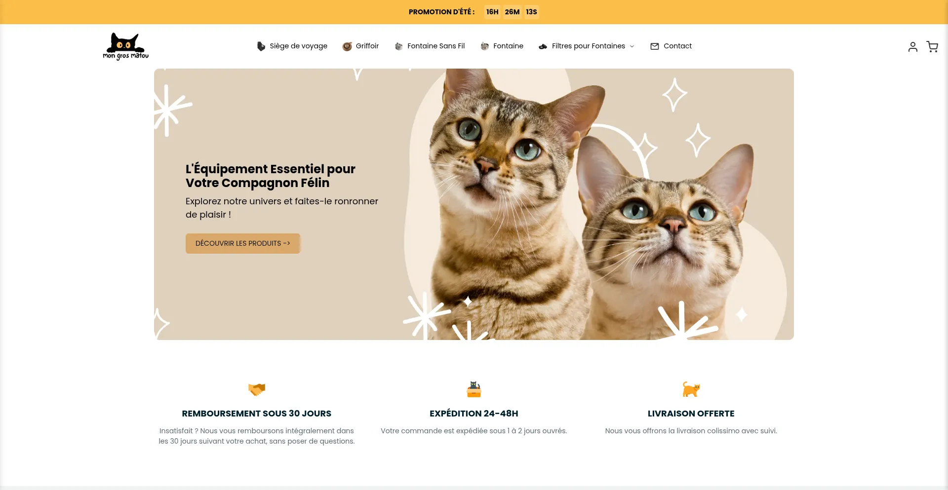Website screenshot of Mongrosmatou.com
