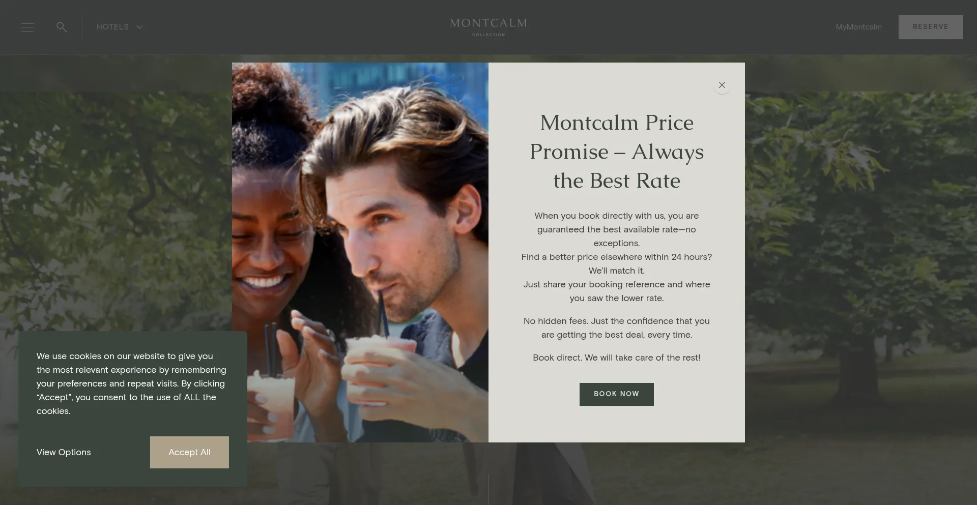 Website screenshot of Montcalmcollection.com